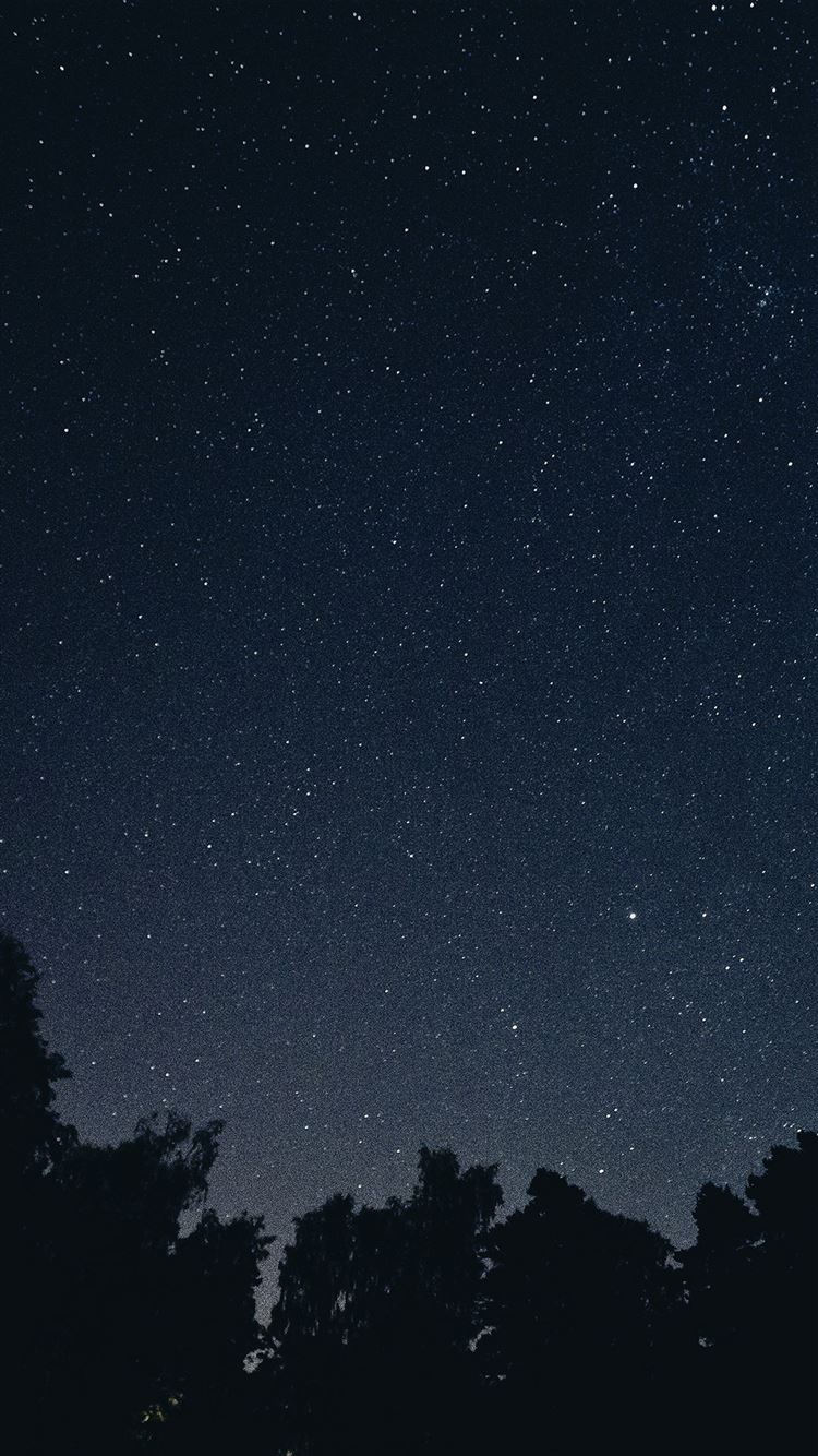 Starry Night Wallpapers