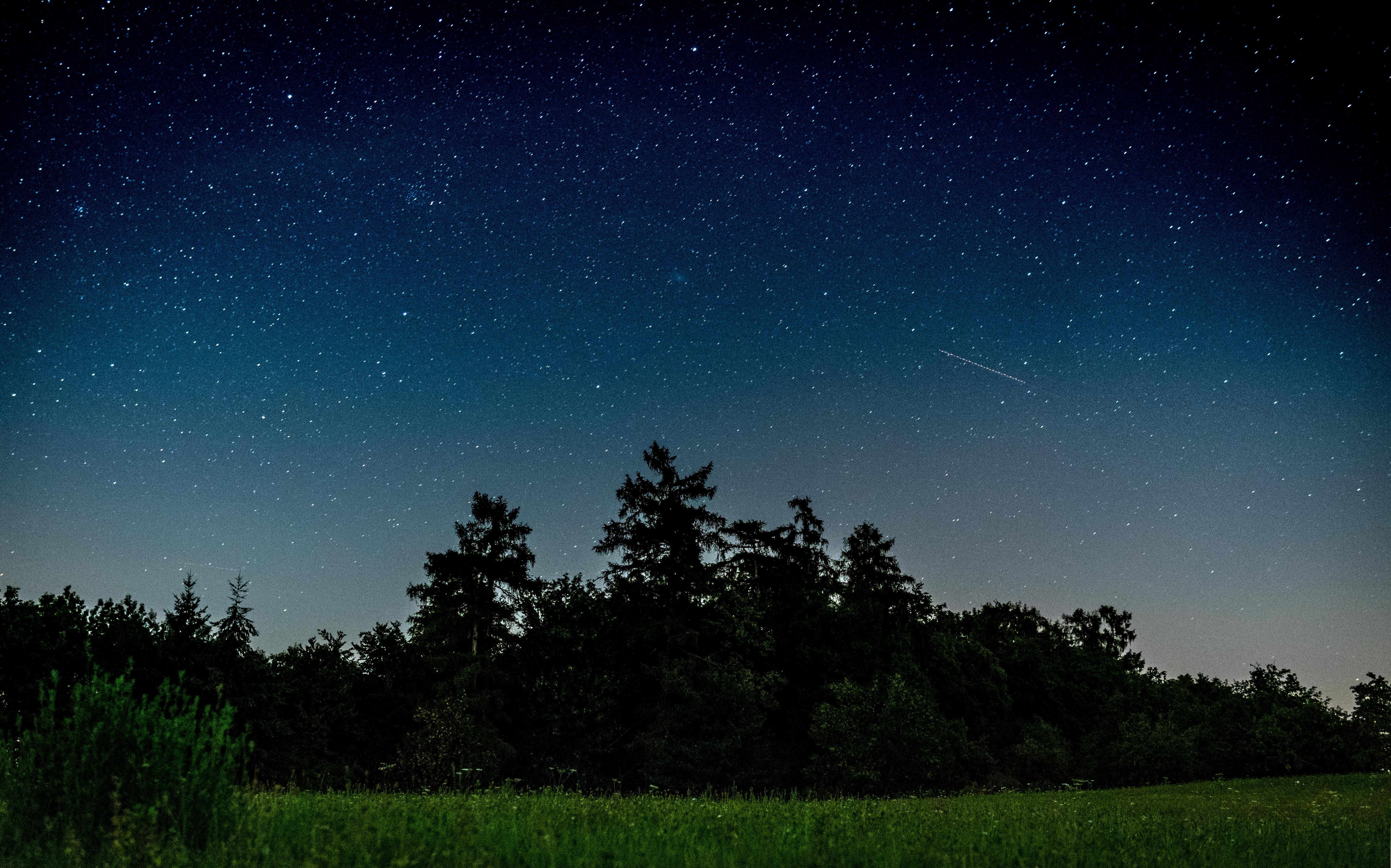 Starry Sky In Open Field Wallpapers