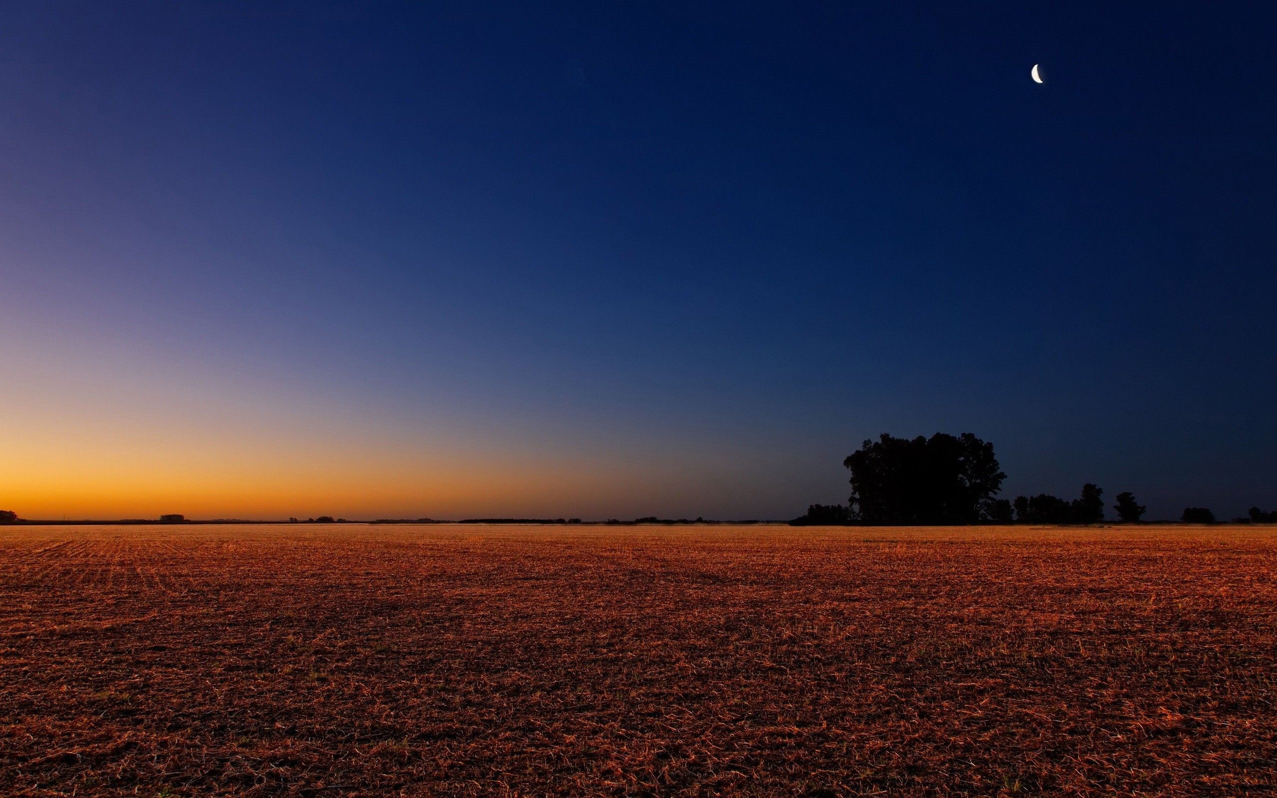 Starry Sky In Open Field Wallpapers