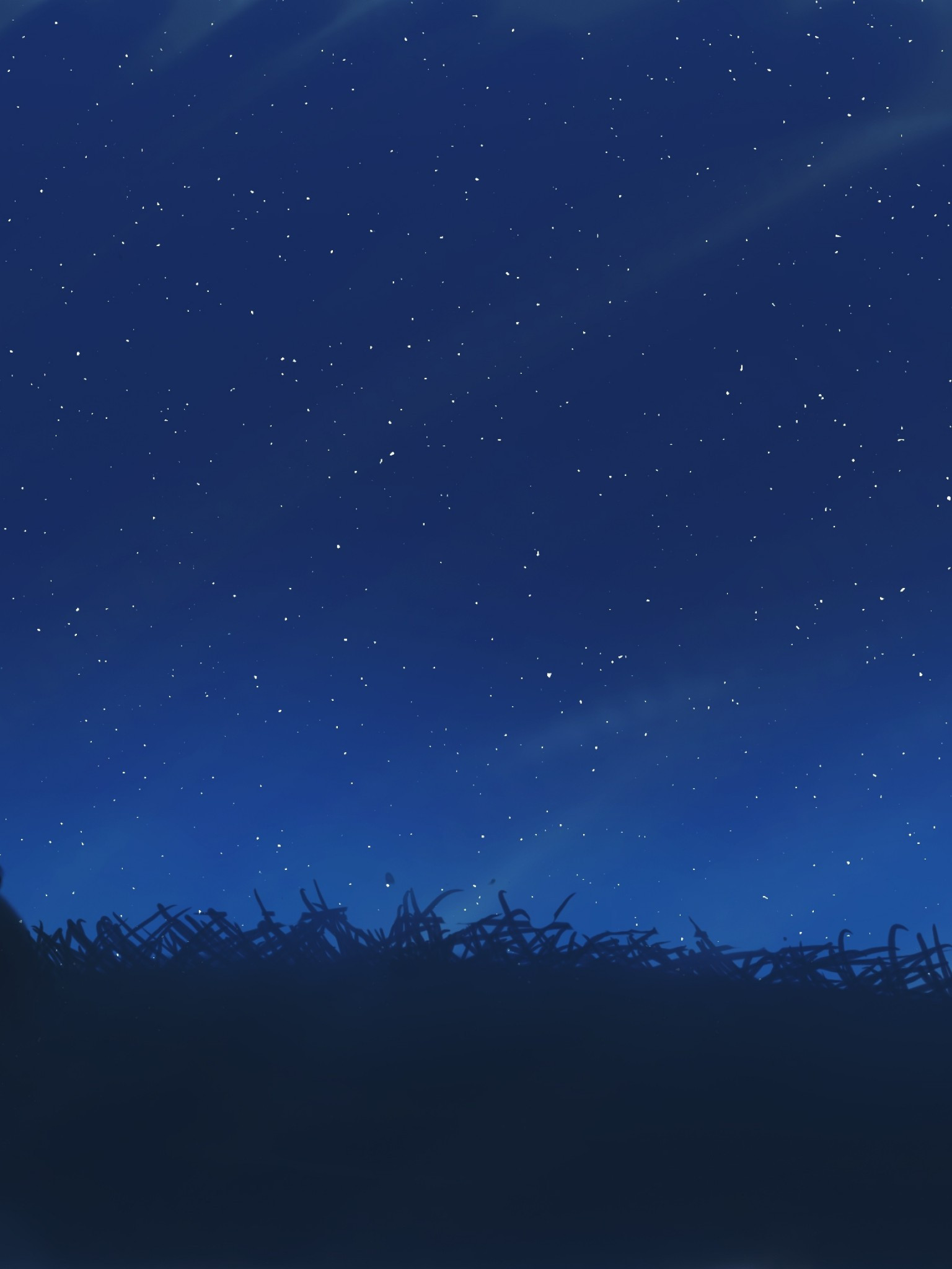 Starry Sky In Open Field Wallpapers