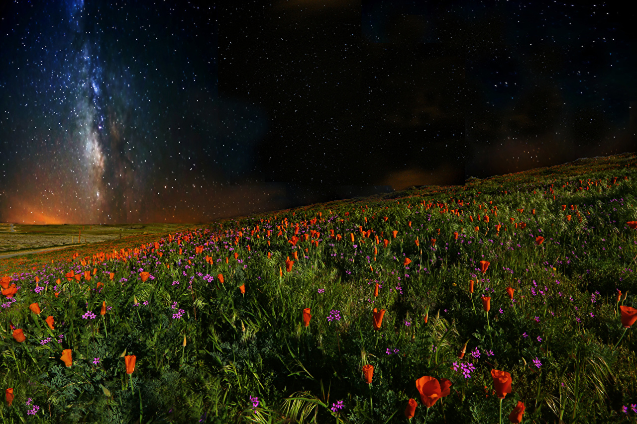 Starry Sky In Open Field Wallpapers