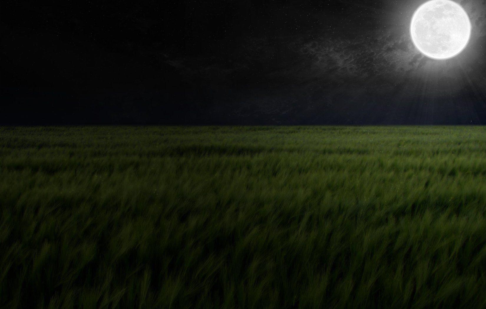 Starry Sky In Open Field Wallpapers