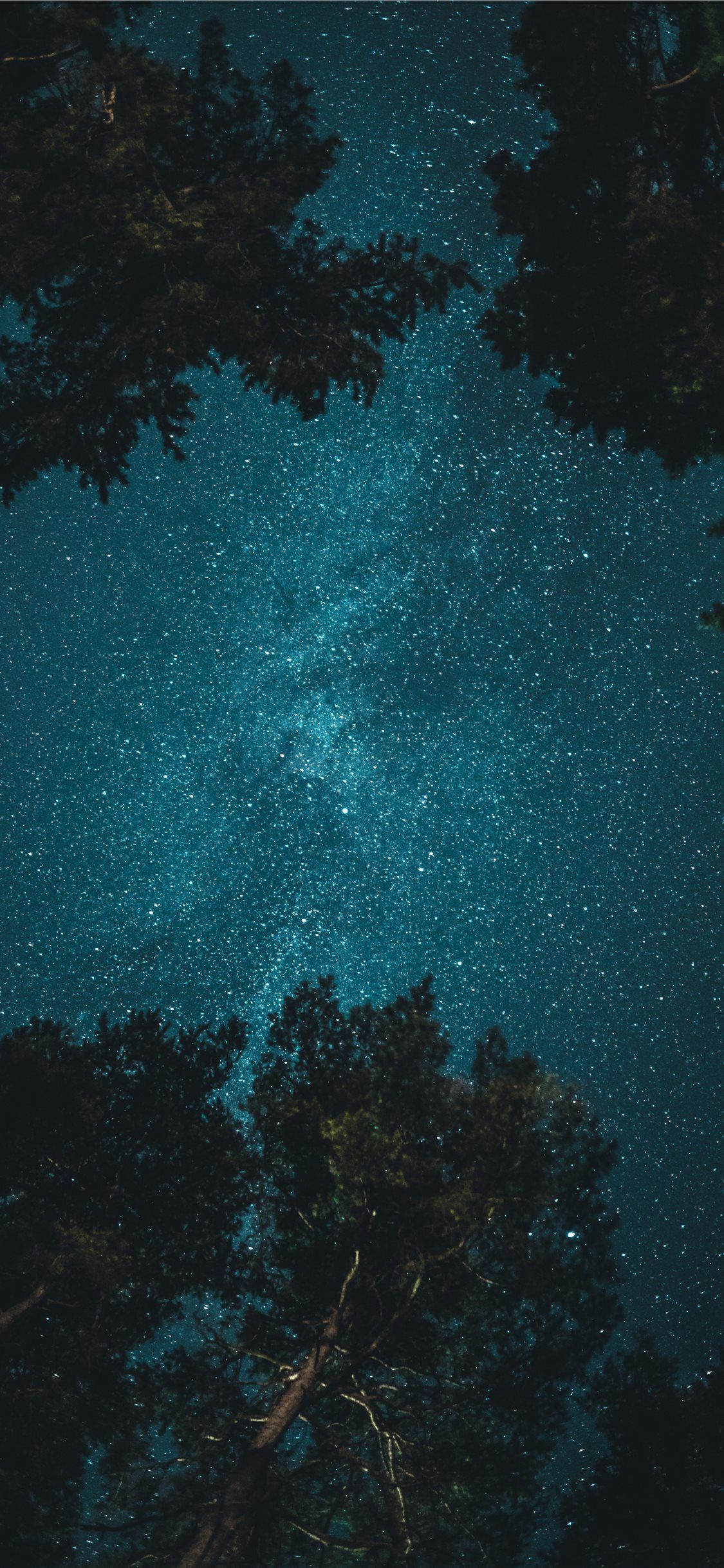 Starry Sky Phone Wallpapers