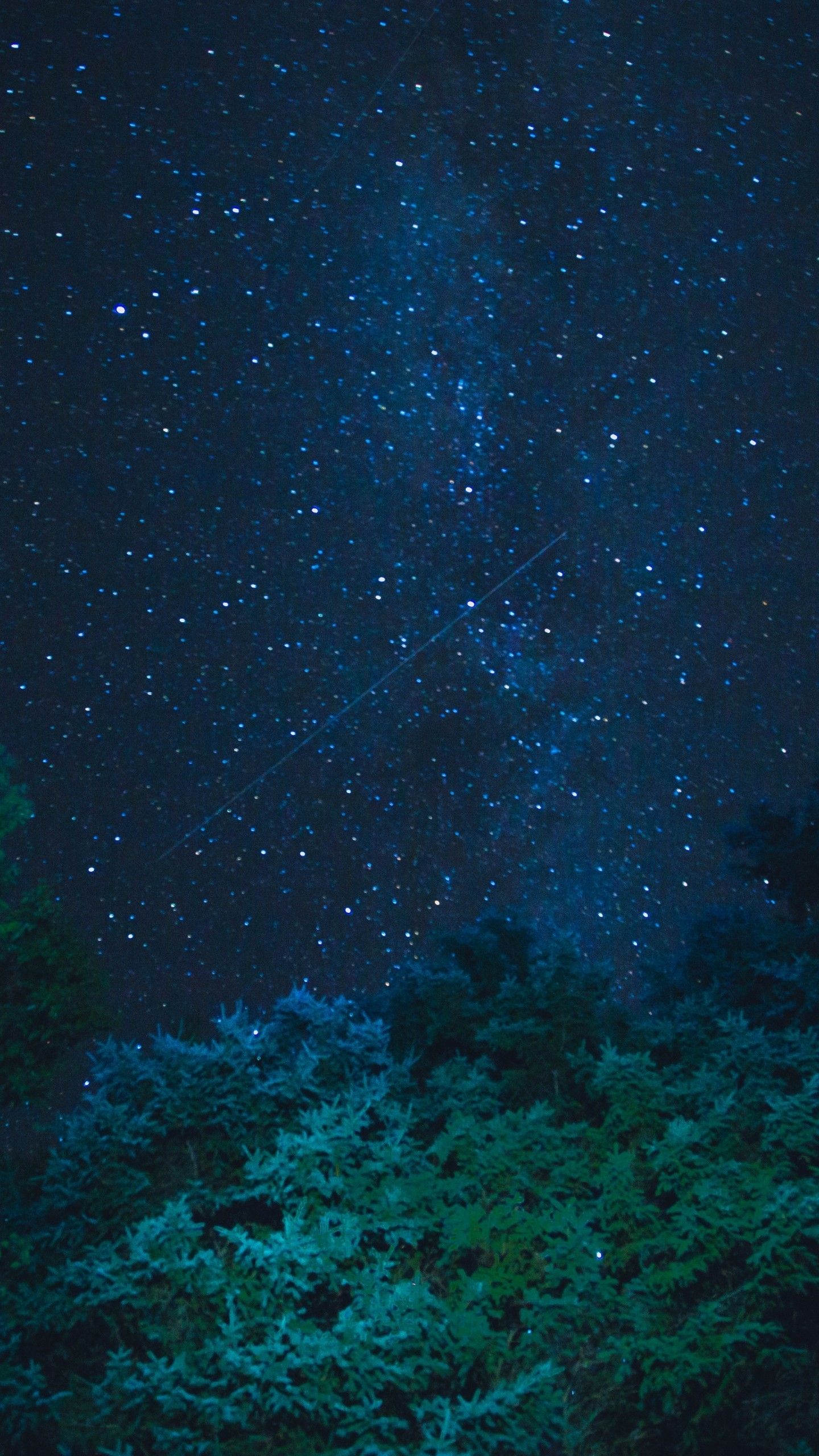 Stars And Trees In Starry Night Wallpapers