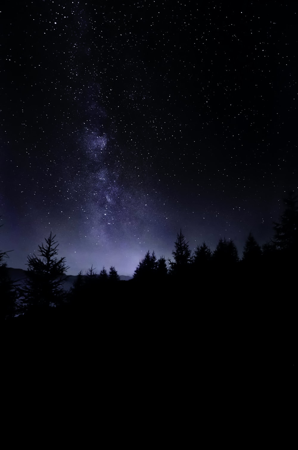 Stars And Trees In Starry Night Wallpapers