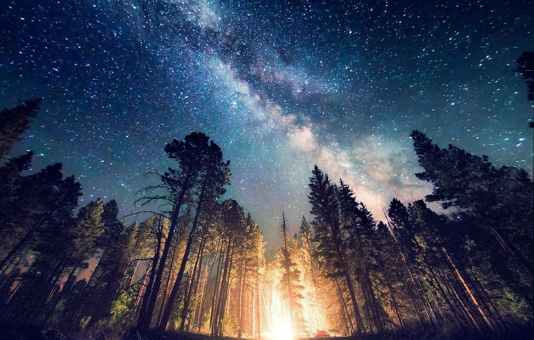 Stars And Trees In Starry Night Wallpapers