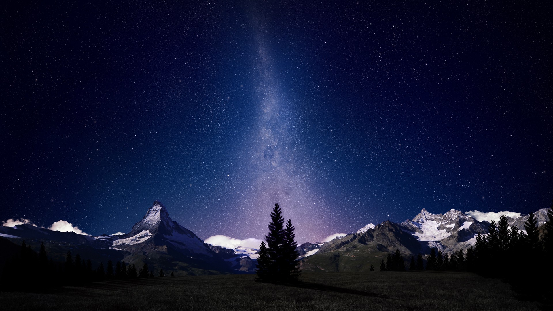 Stars And Trees In Starry Night Wallpapers