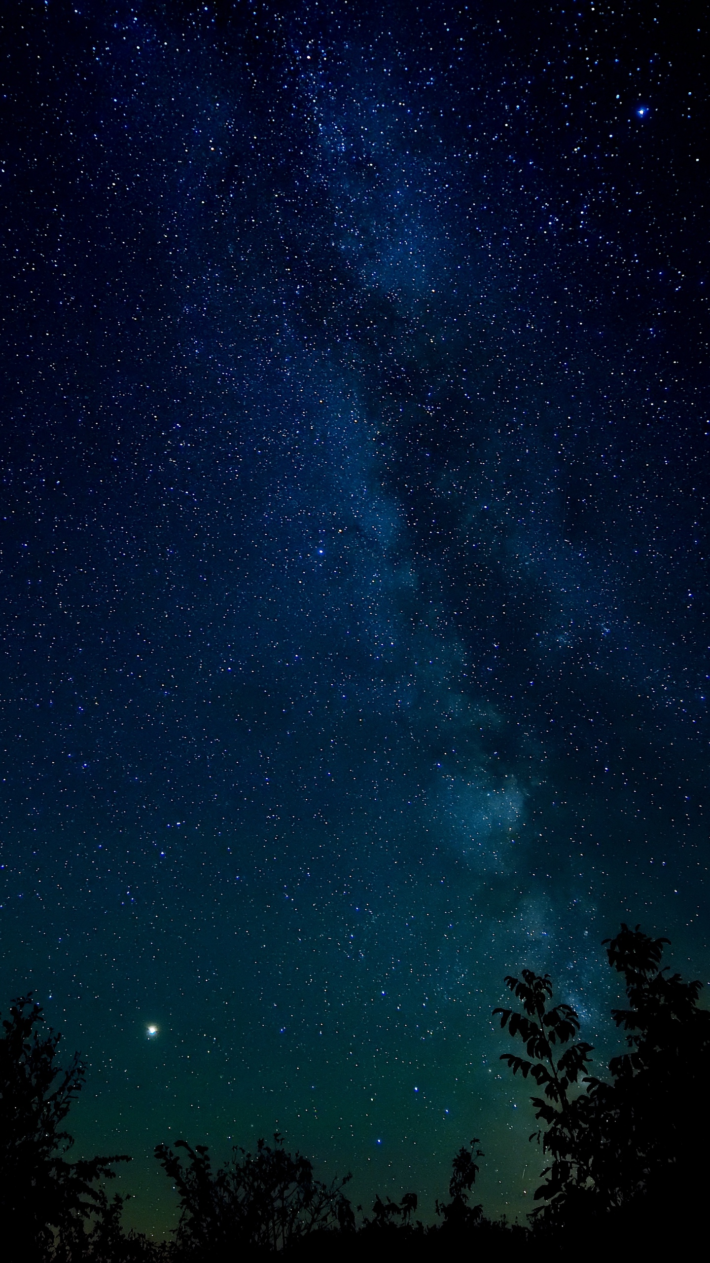 Stars Starry Sky Night Wallpapers