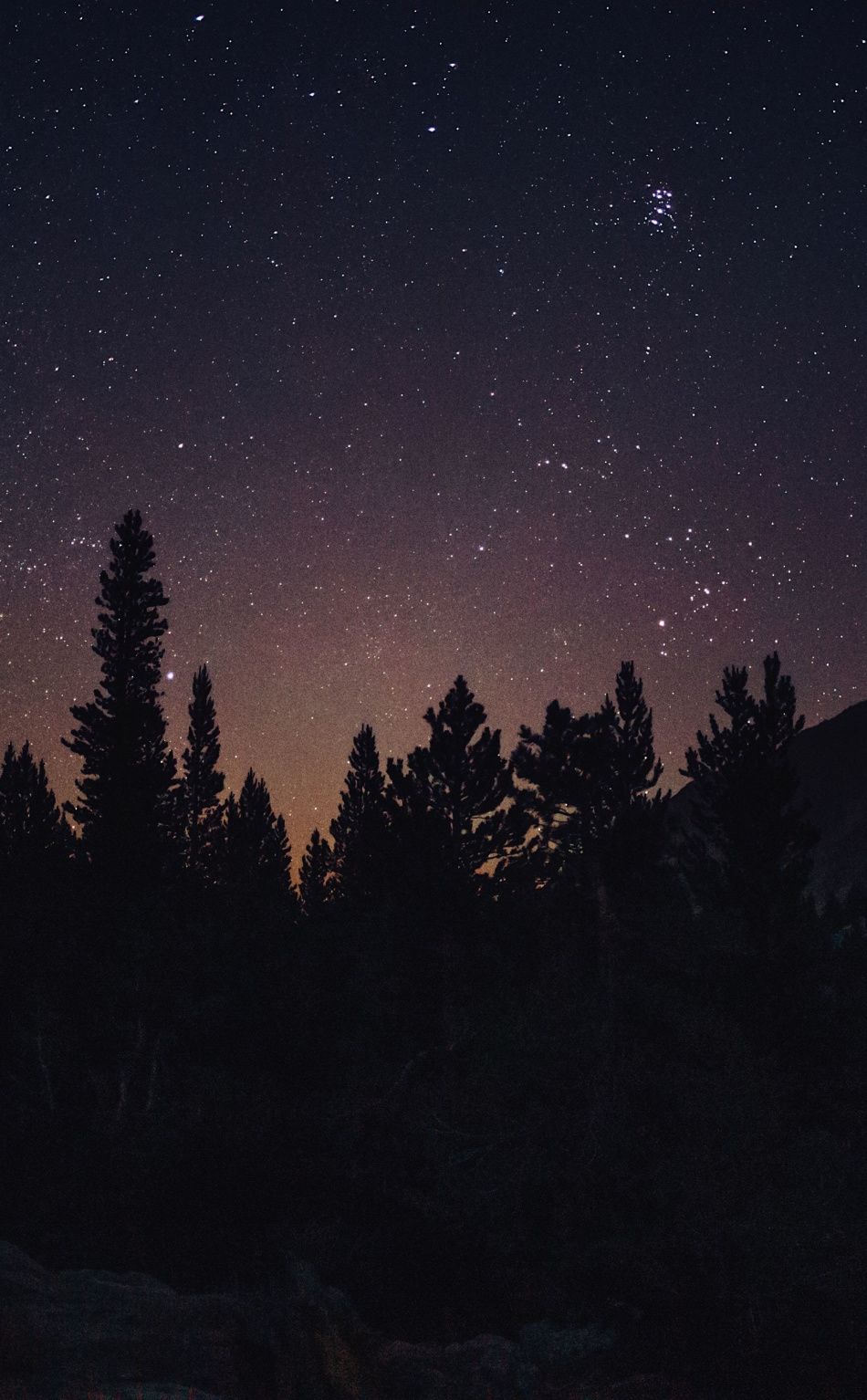 Stars Trees Night Dark Sky Wallpapers