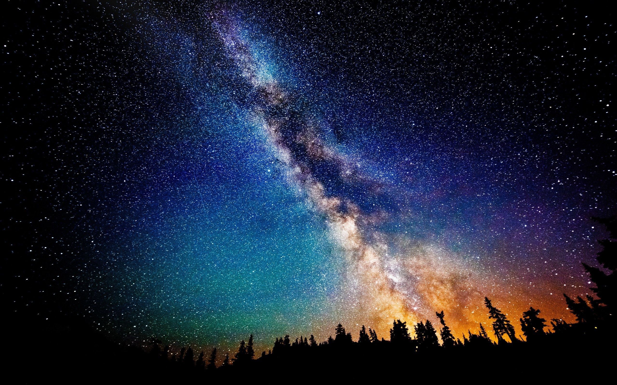 Stars Trees Night Dark Sky Wallpapers