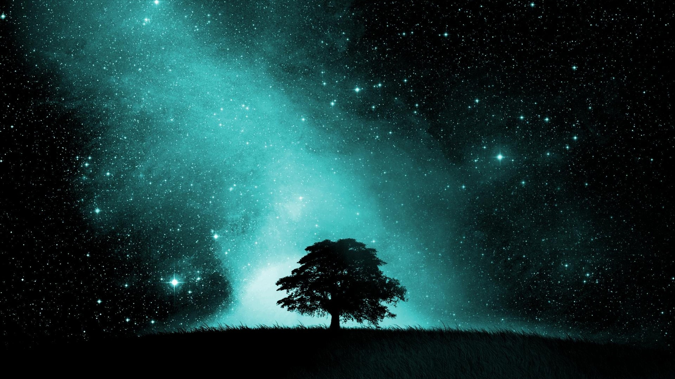 Stars Trees Night Dark Sky Wallpapers