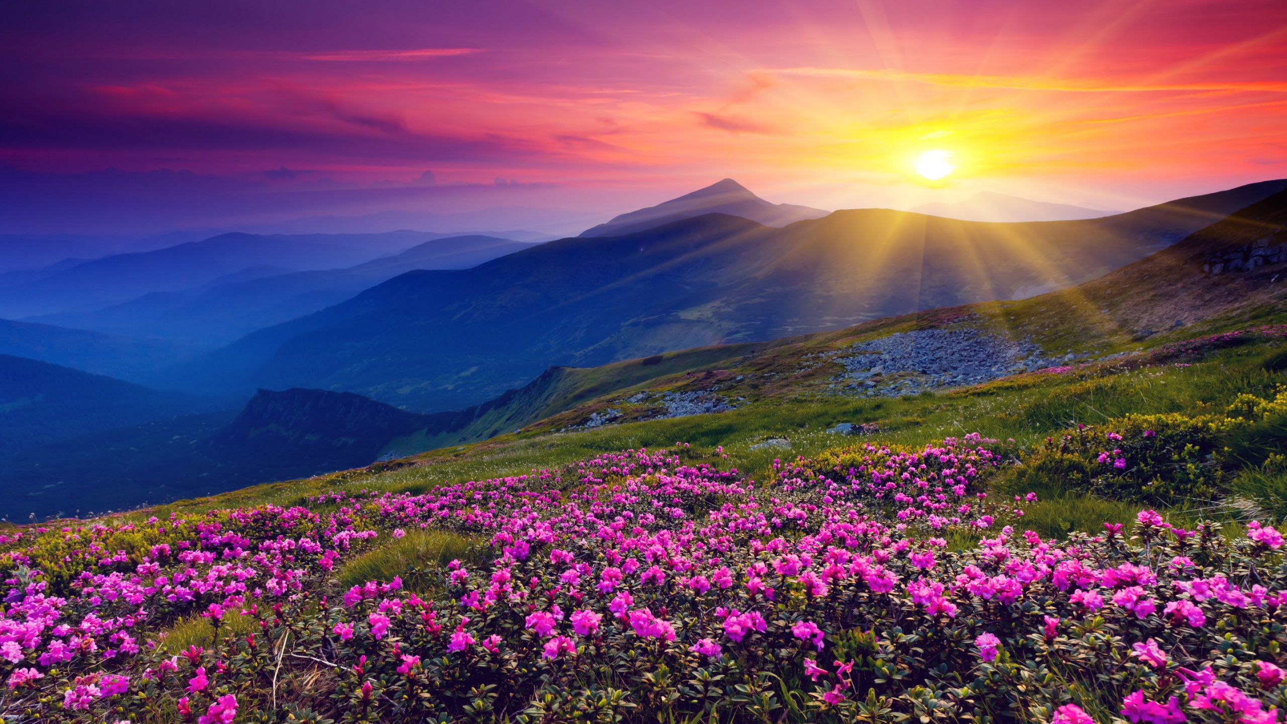 Start Of Sunrises Over Mountains Wallpapers