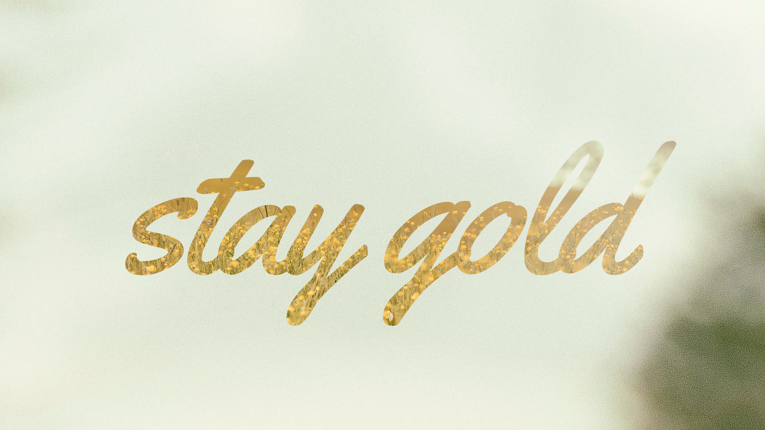 Stay Gold Wallpapers