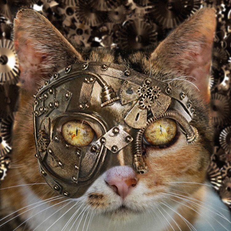 Steampunk Cat Wallpapers