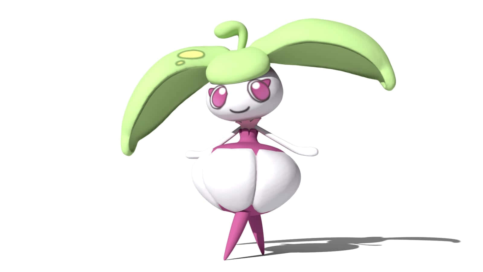 Steenee Hd Wallpapers