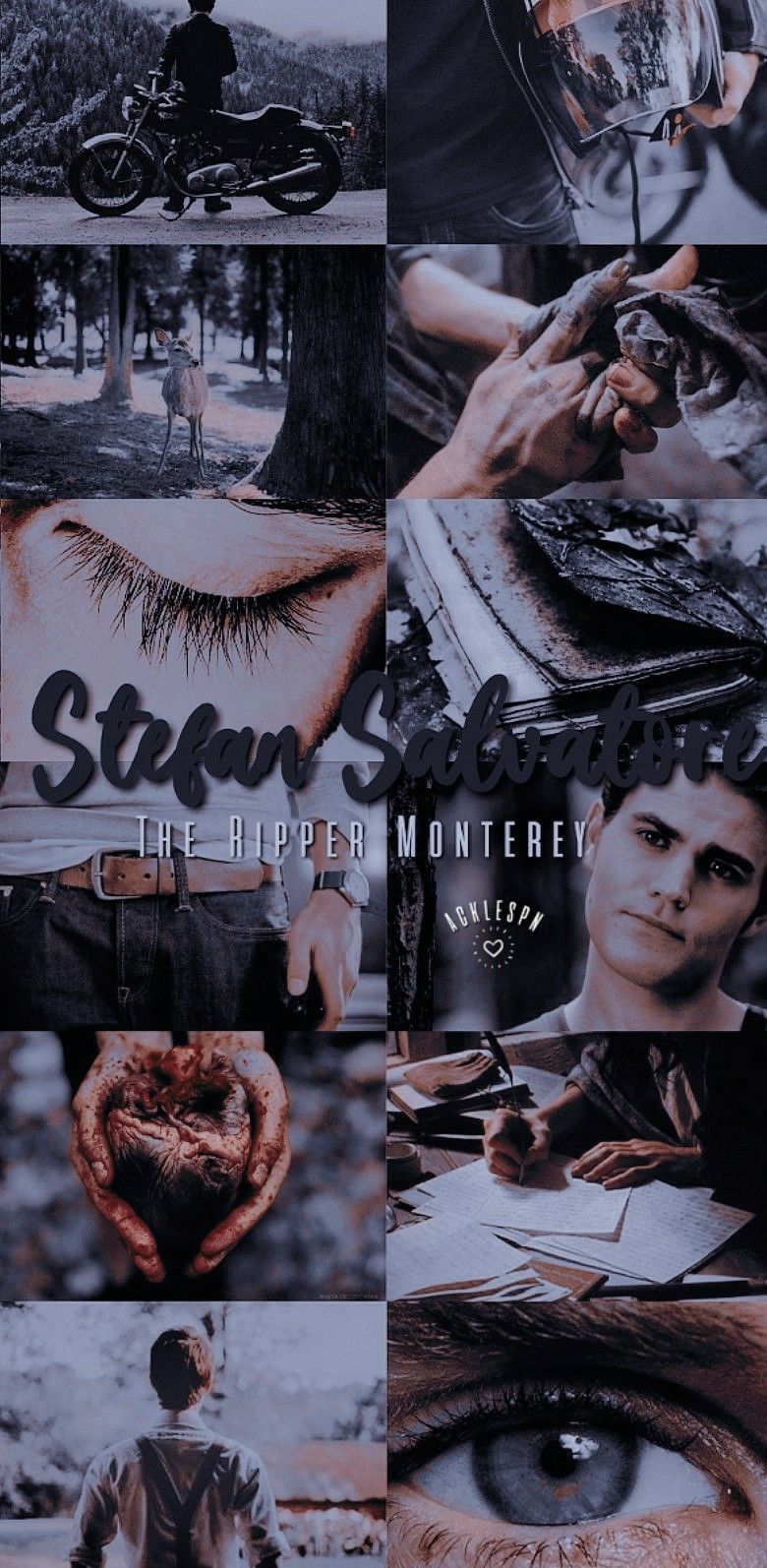 Stefan Salvatore Wallpapers