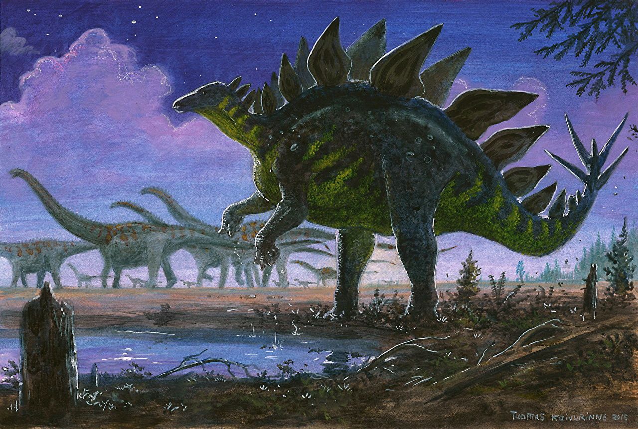 Stegosaurus Wallpapers