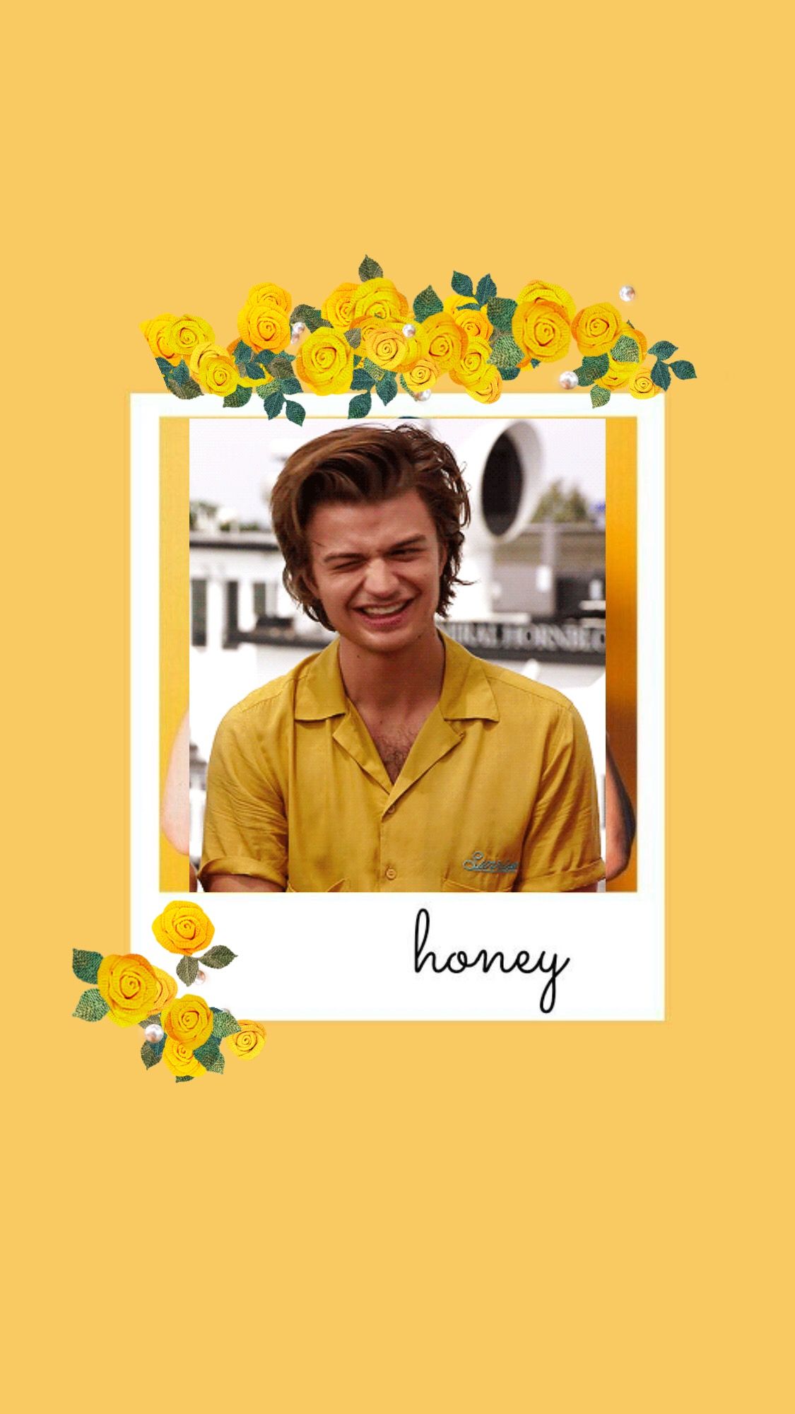 Steve Harrington Wallpapers