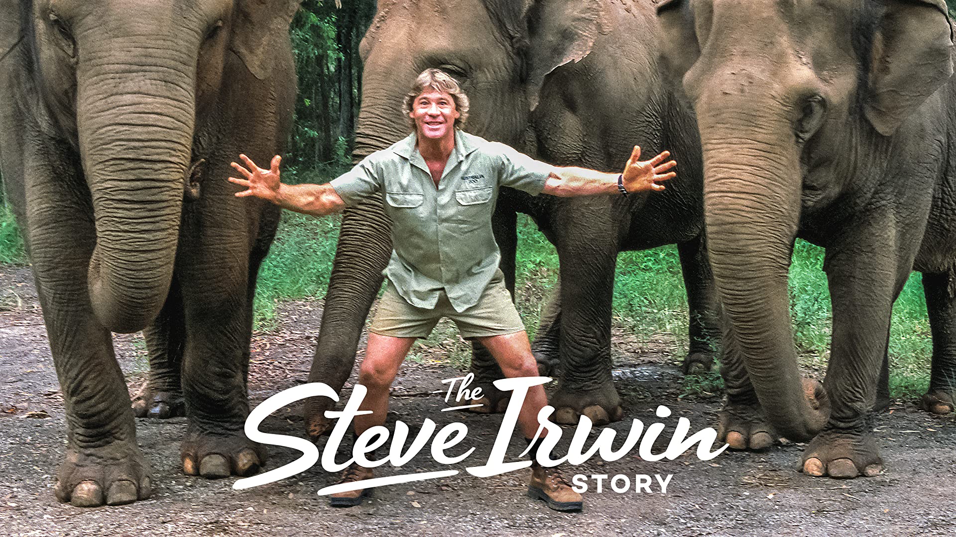 Steve Irwin Wallpapers