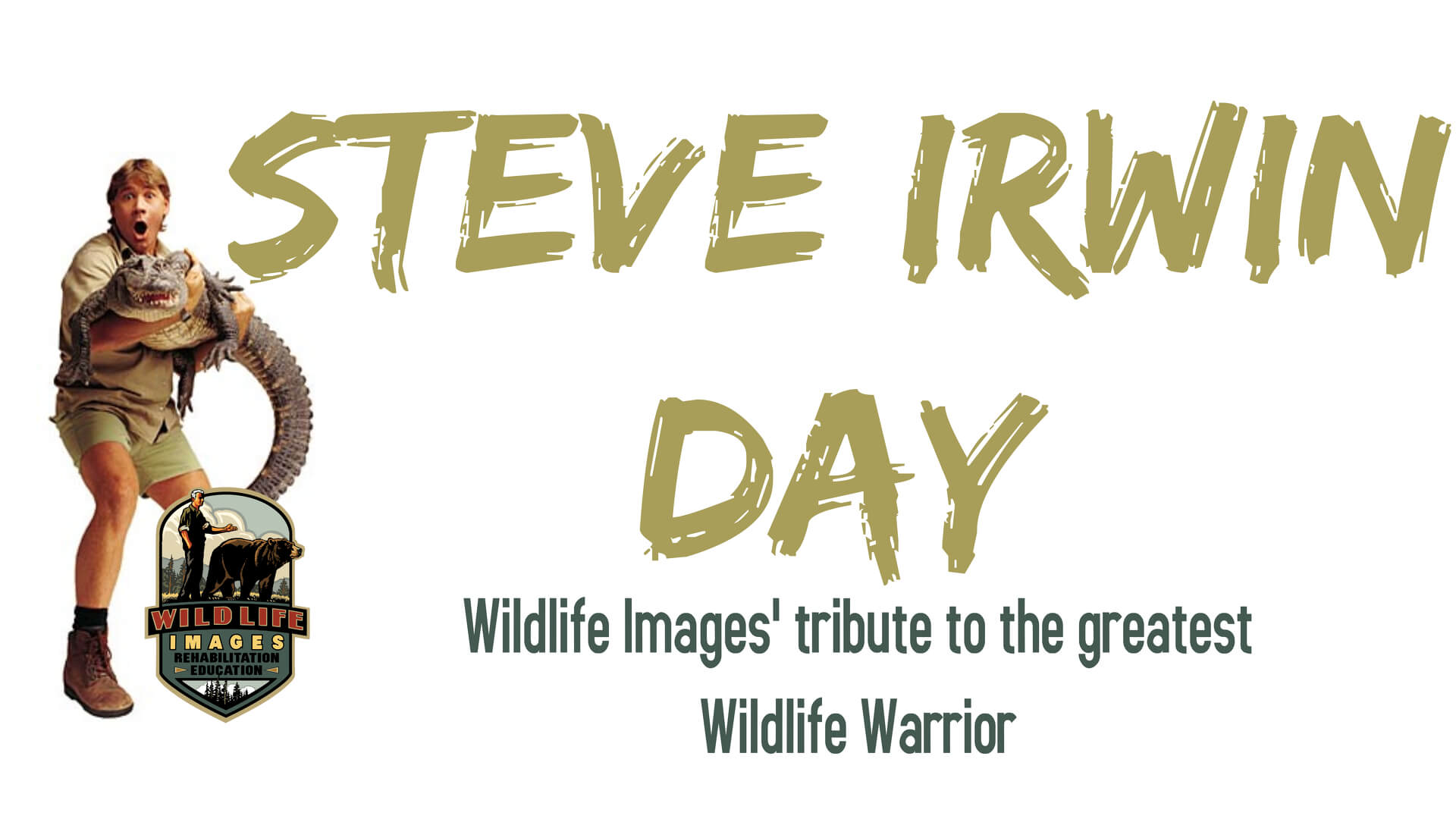 Steve Irwin Wallpapers