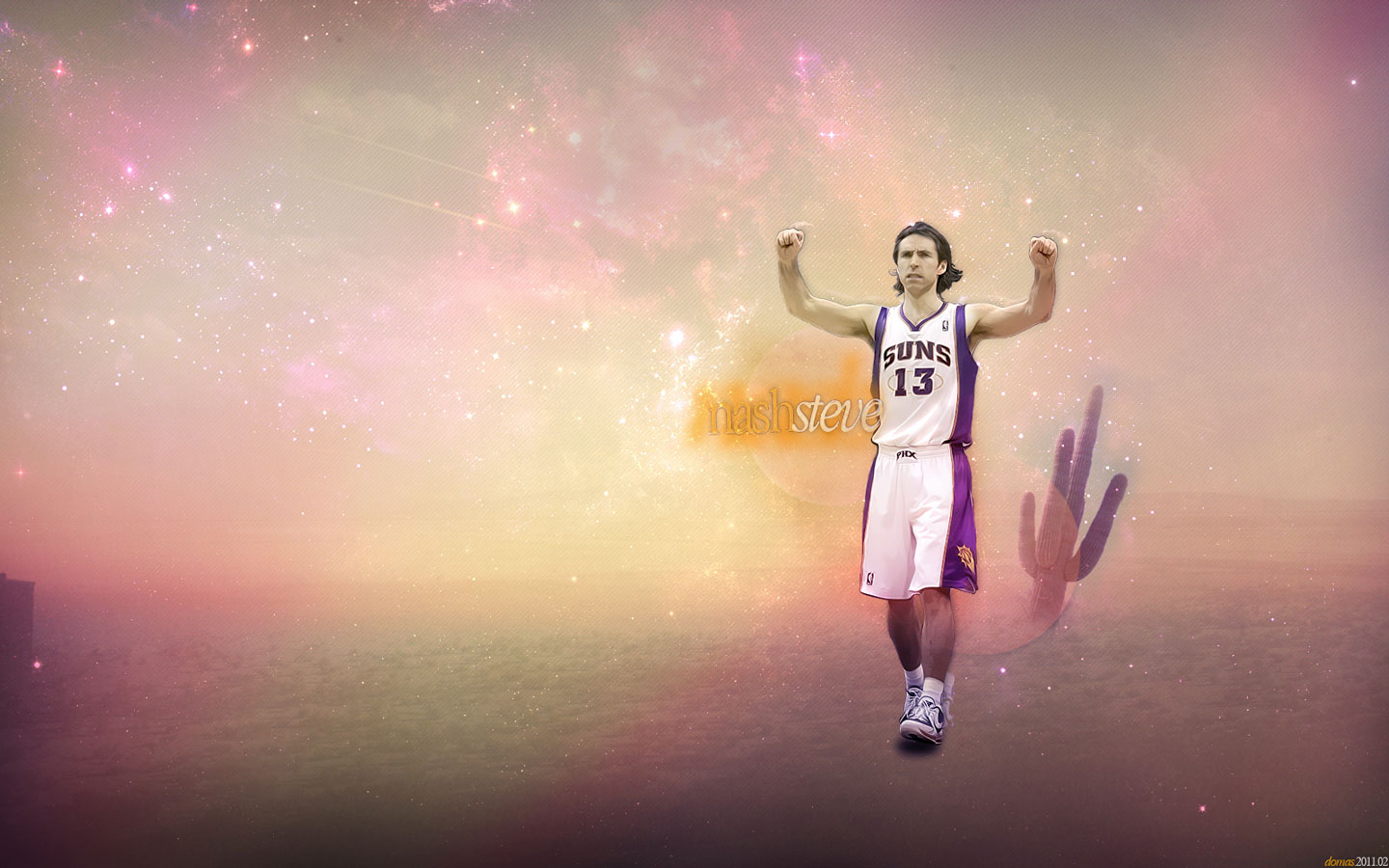 Steve Nash Wallpapers