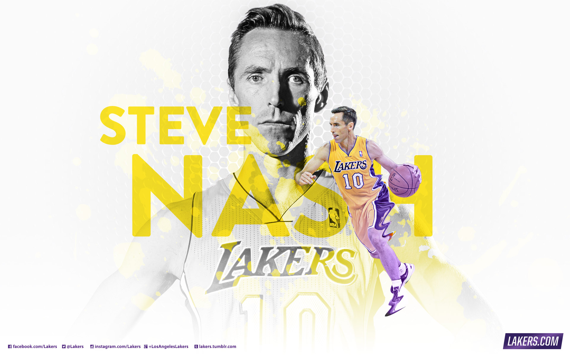 Steve Nash Wallpapers