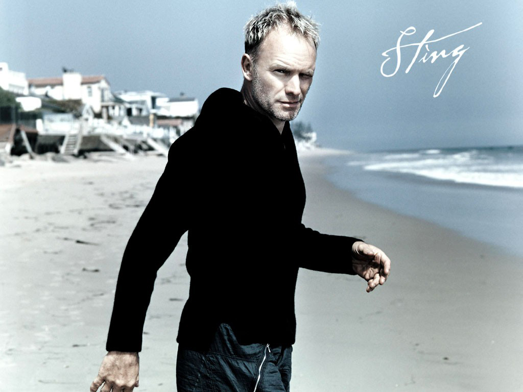 Sting Musician Wallpapers