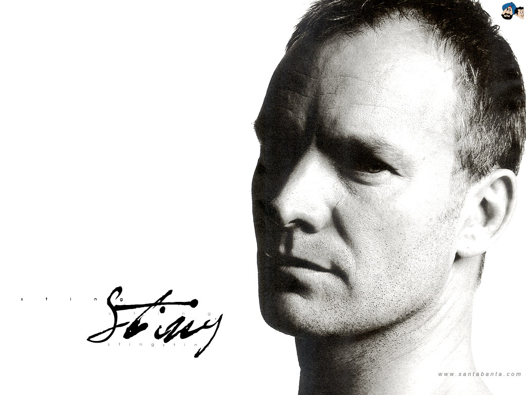 Sting Musician Wallpapers