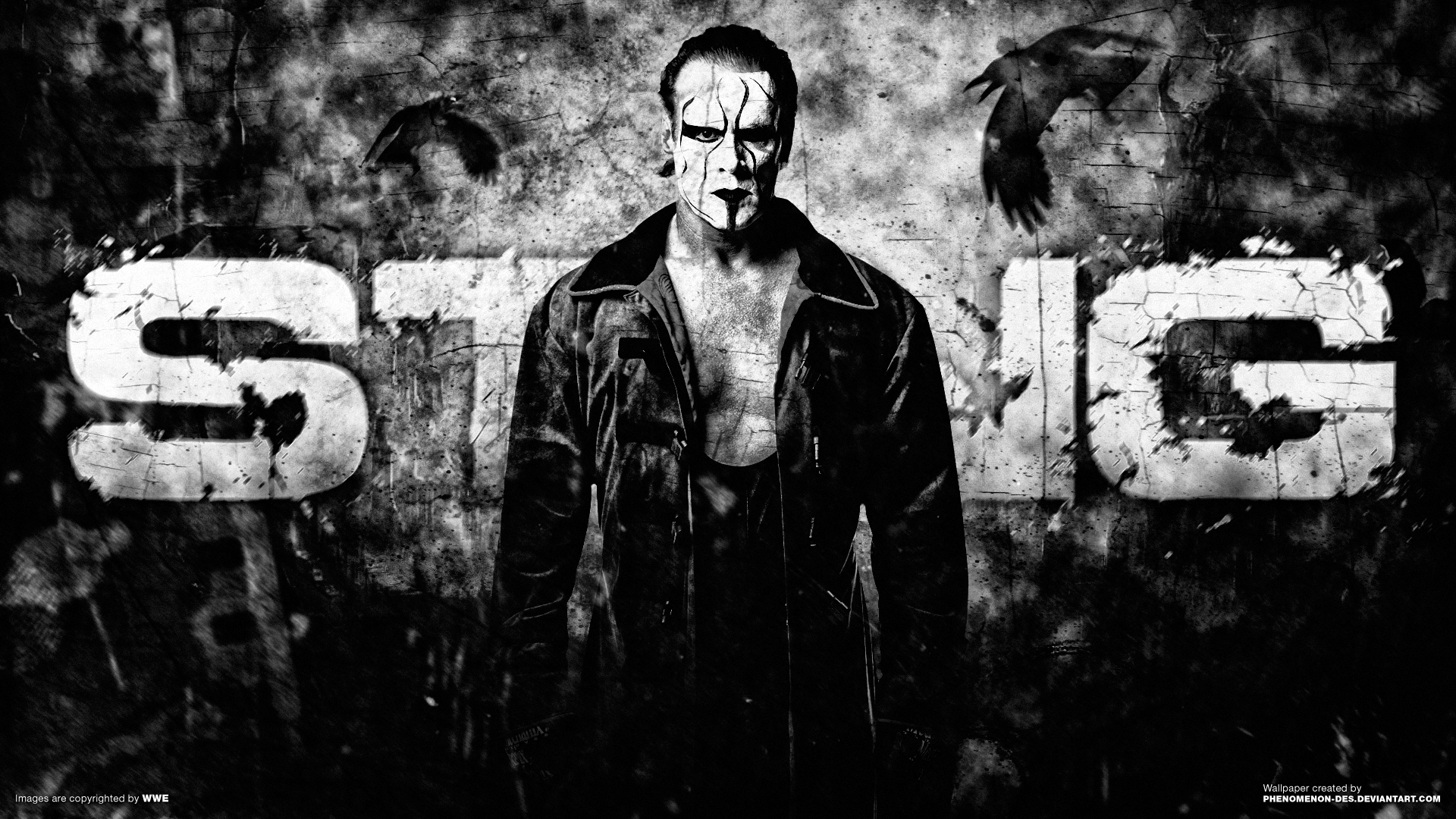 Sting Wallpapers
