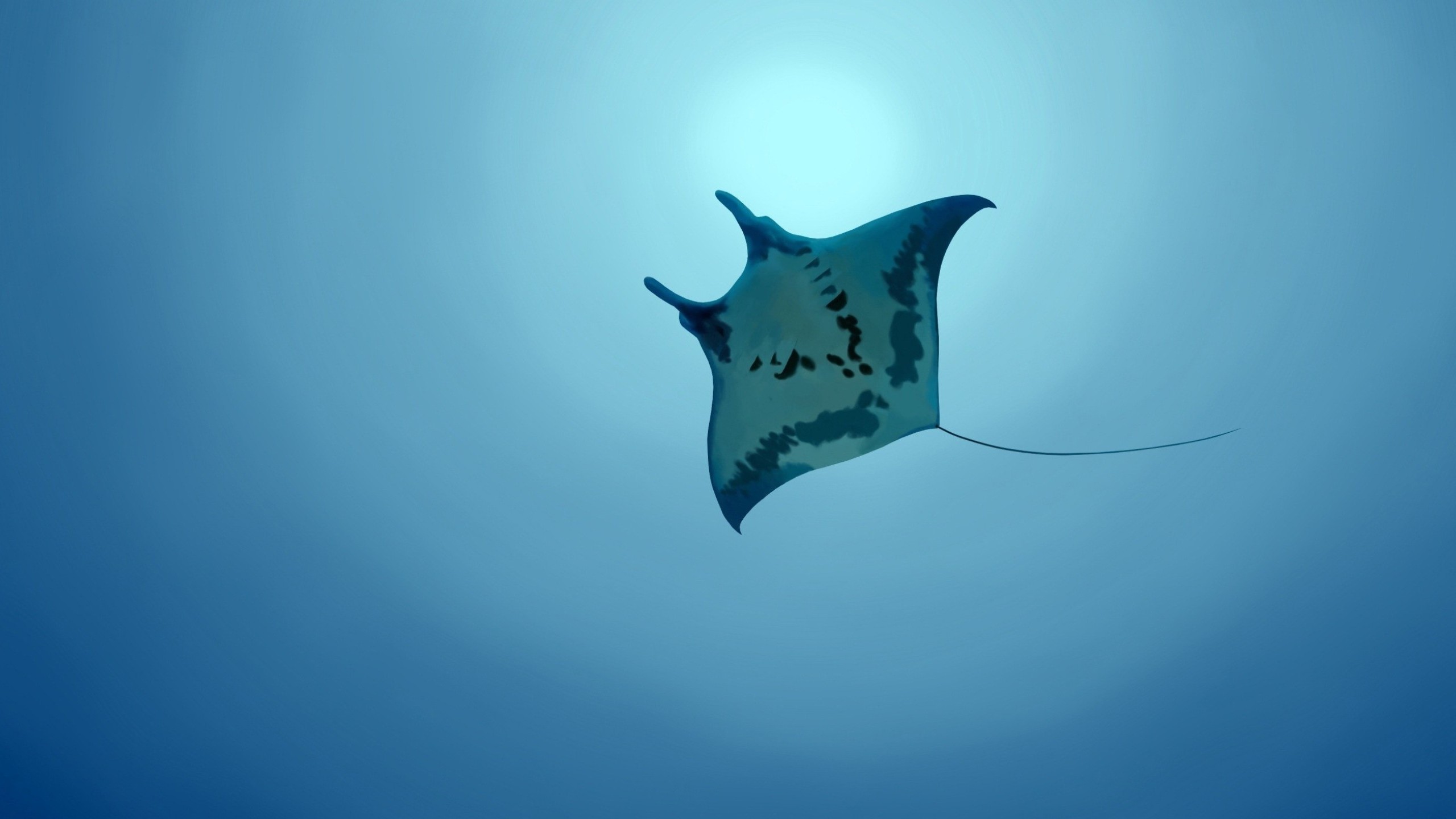 Stingray Wallpapers