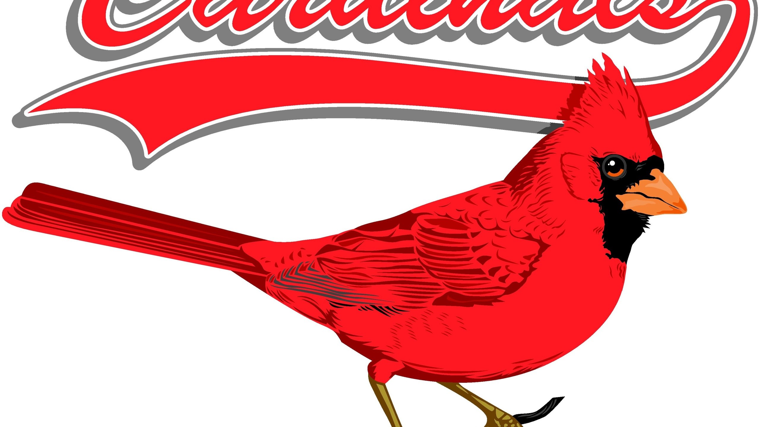 Stl Cardinals Backgrounds