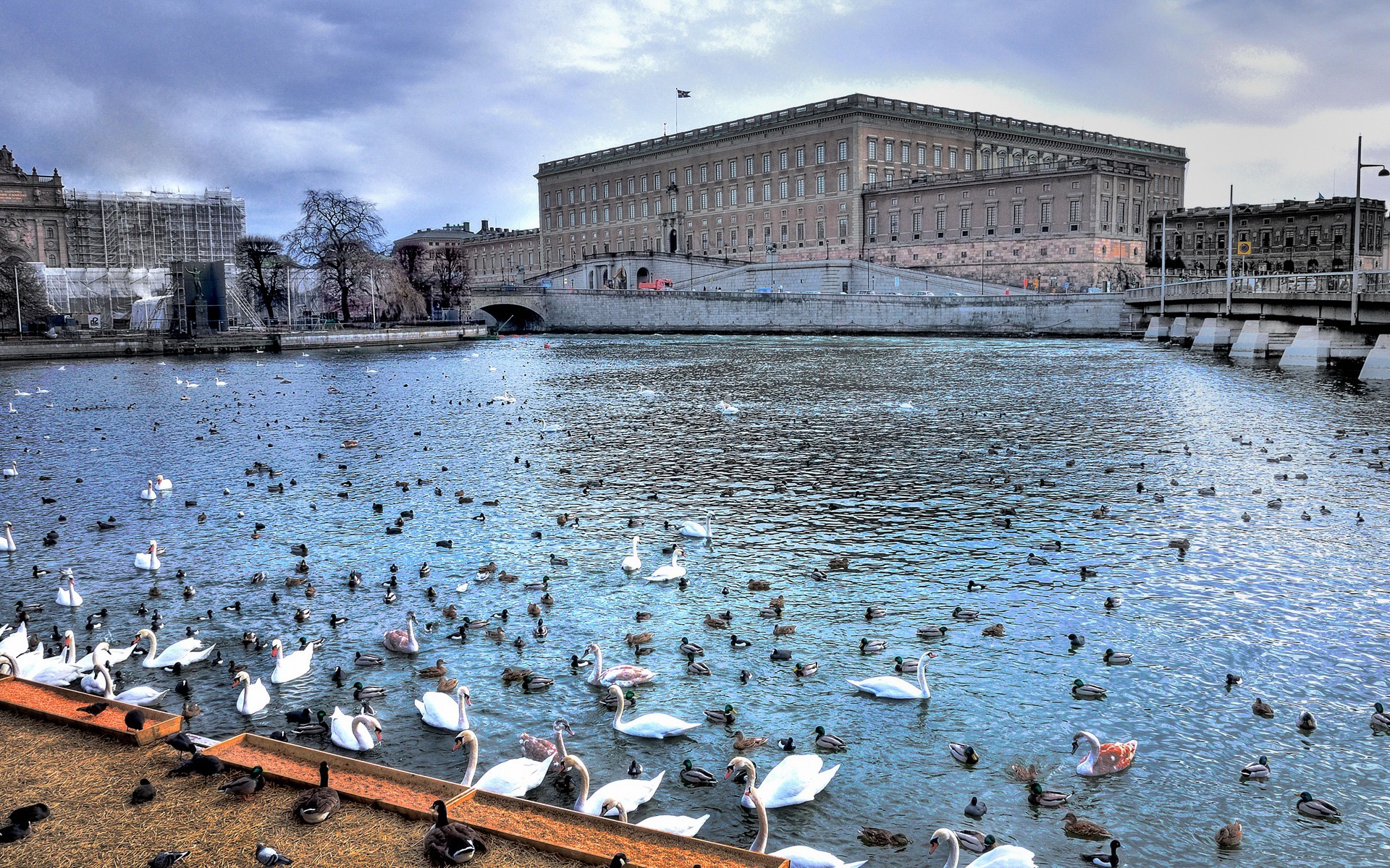 Stockholm Palace Wallpapers