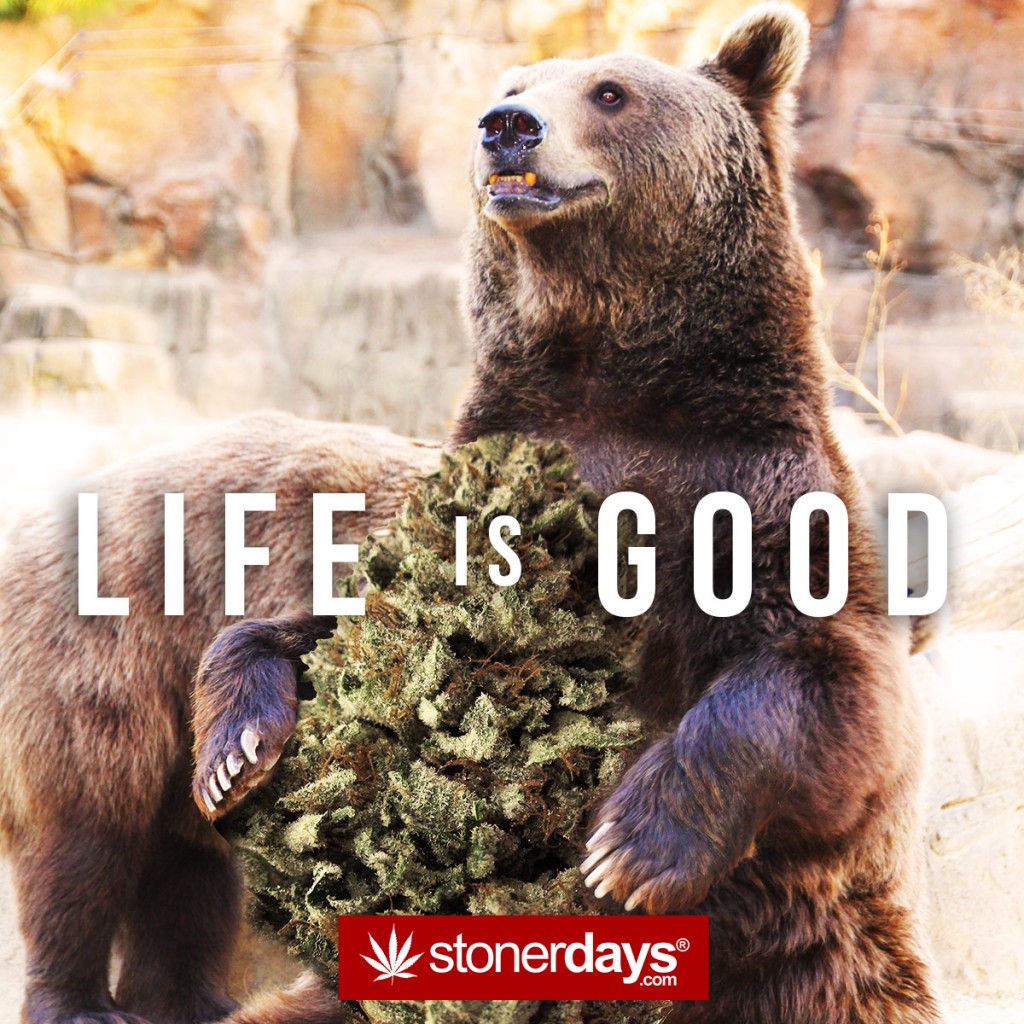 Stonerdays Wallpapers