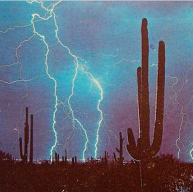 Storm At Cactus Desert Wallpapers