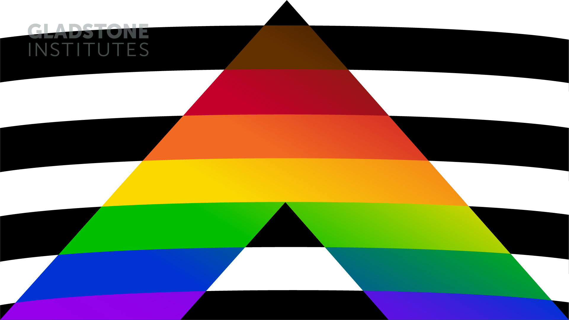 Straight Ally Wallpapers