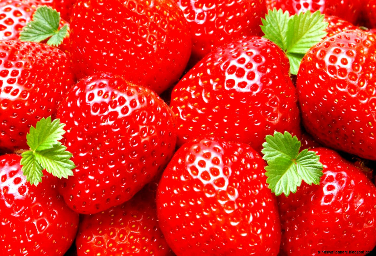 Strawberry Desktop Wallpapers