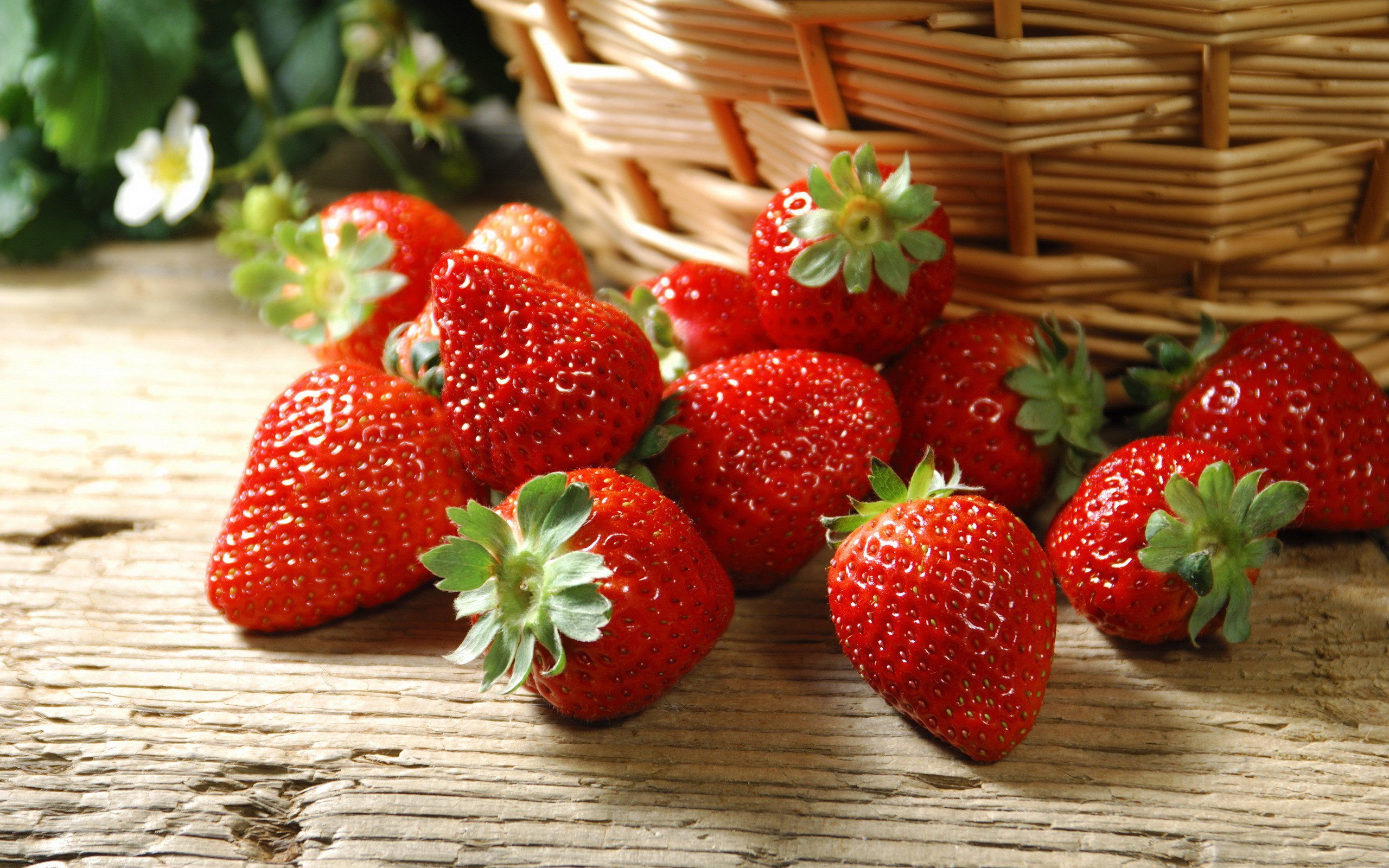 Strawberry Desktop Wallpapers