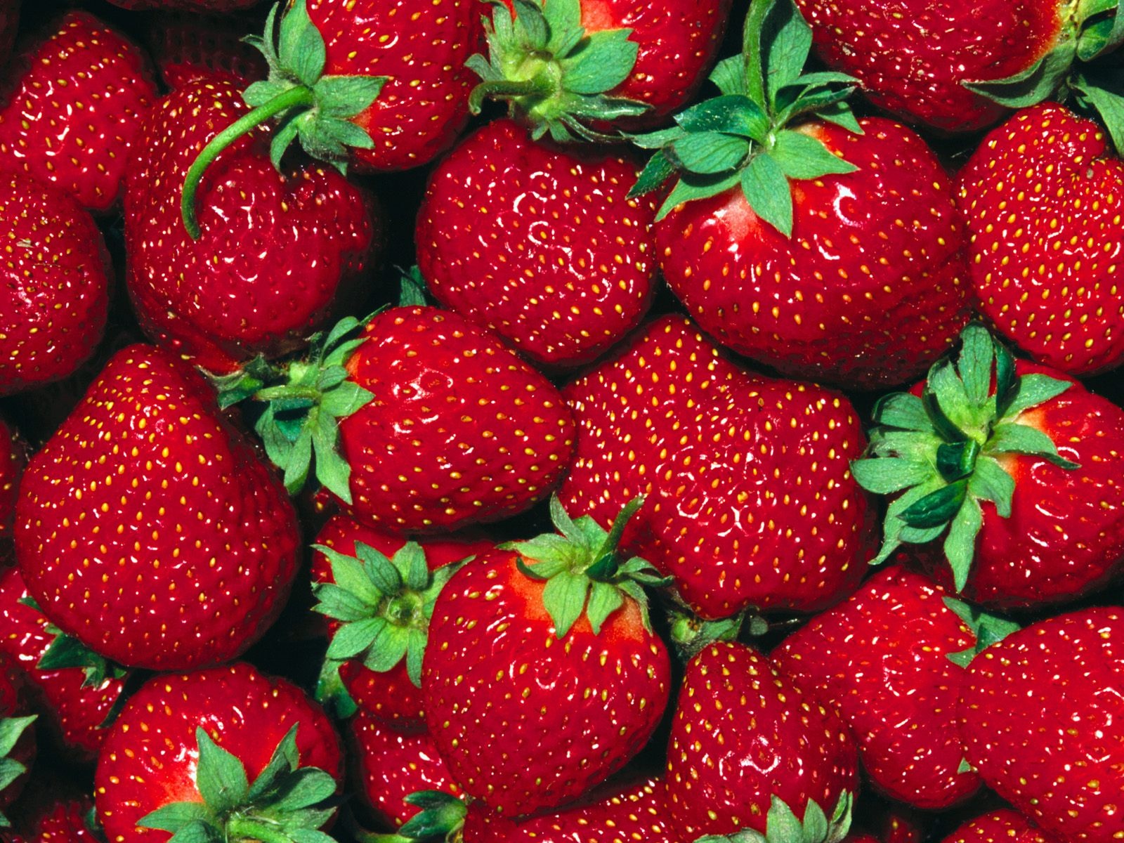 Strawberry Desktop Wallpapers