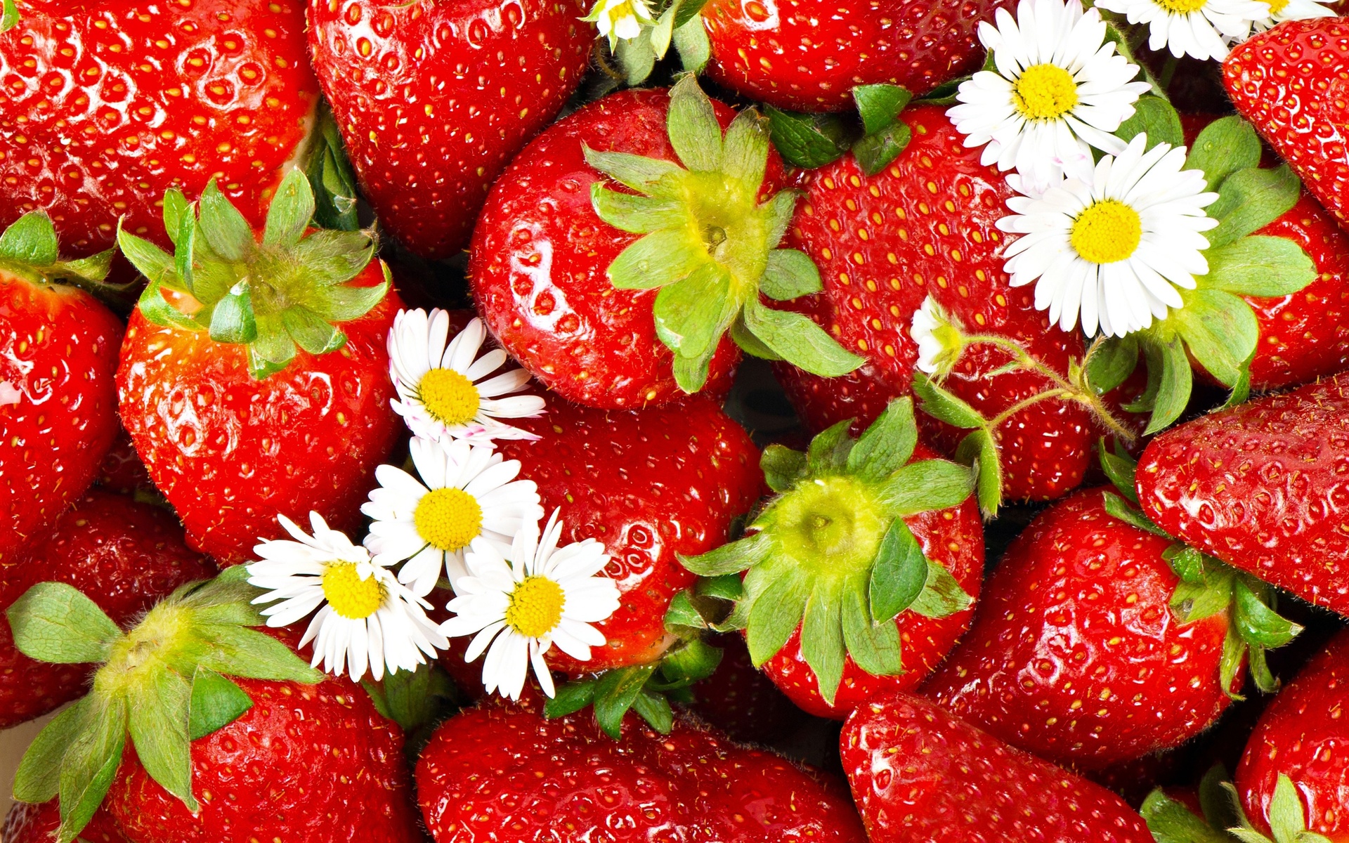 Strawberry Desktop Wallpapers