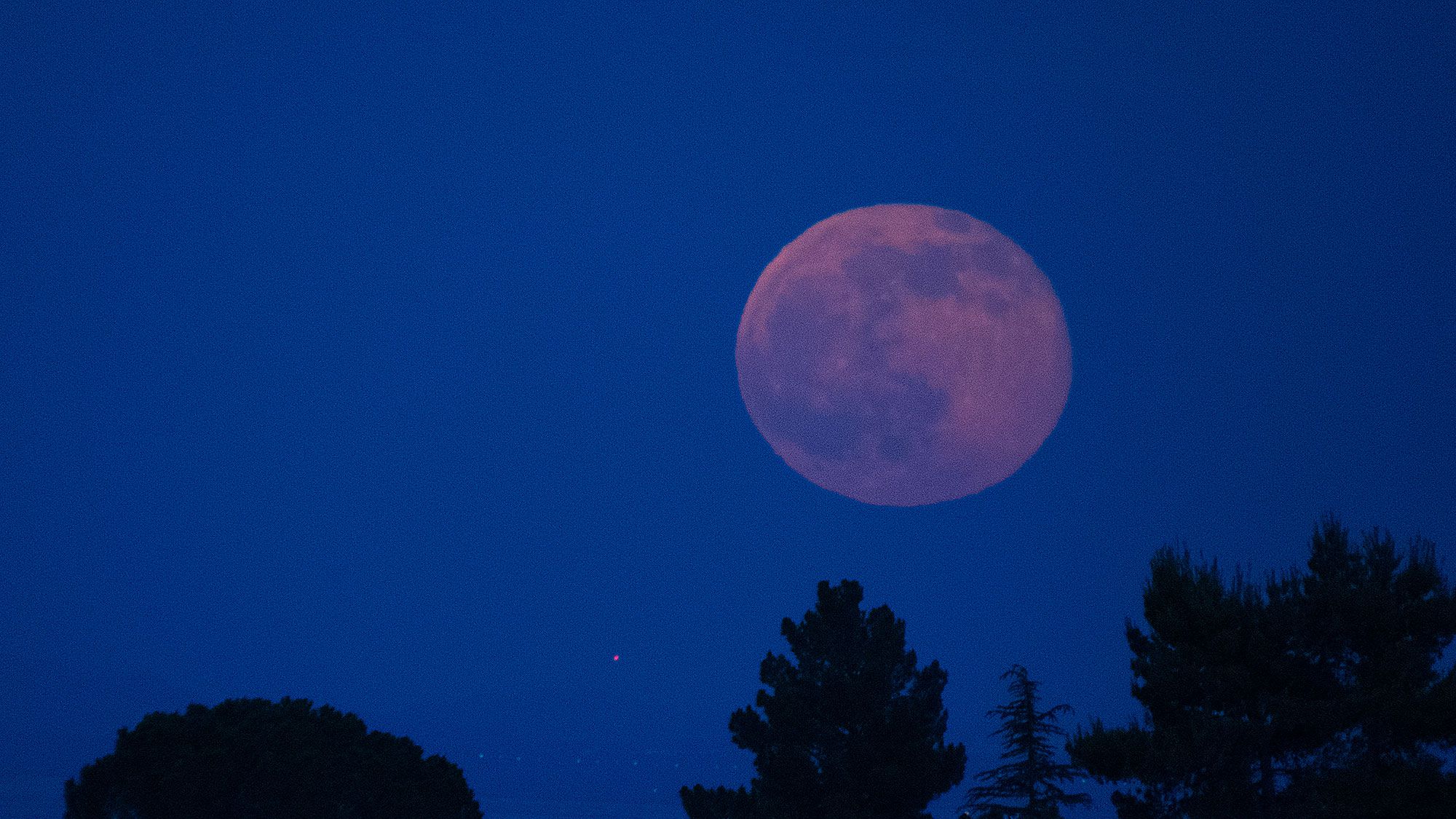 Strawberry Moon Wallpapers