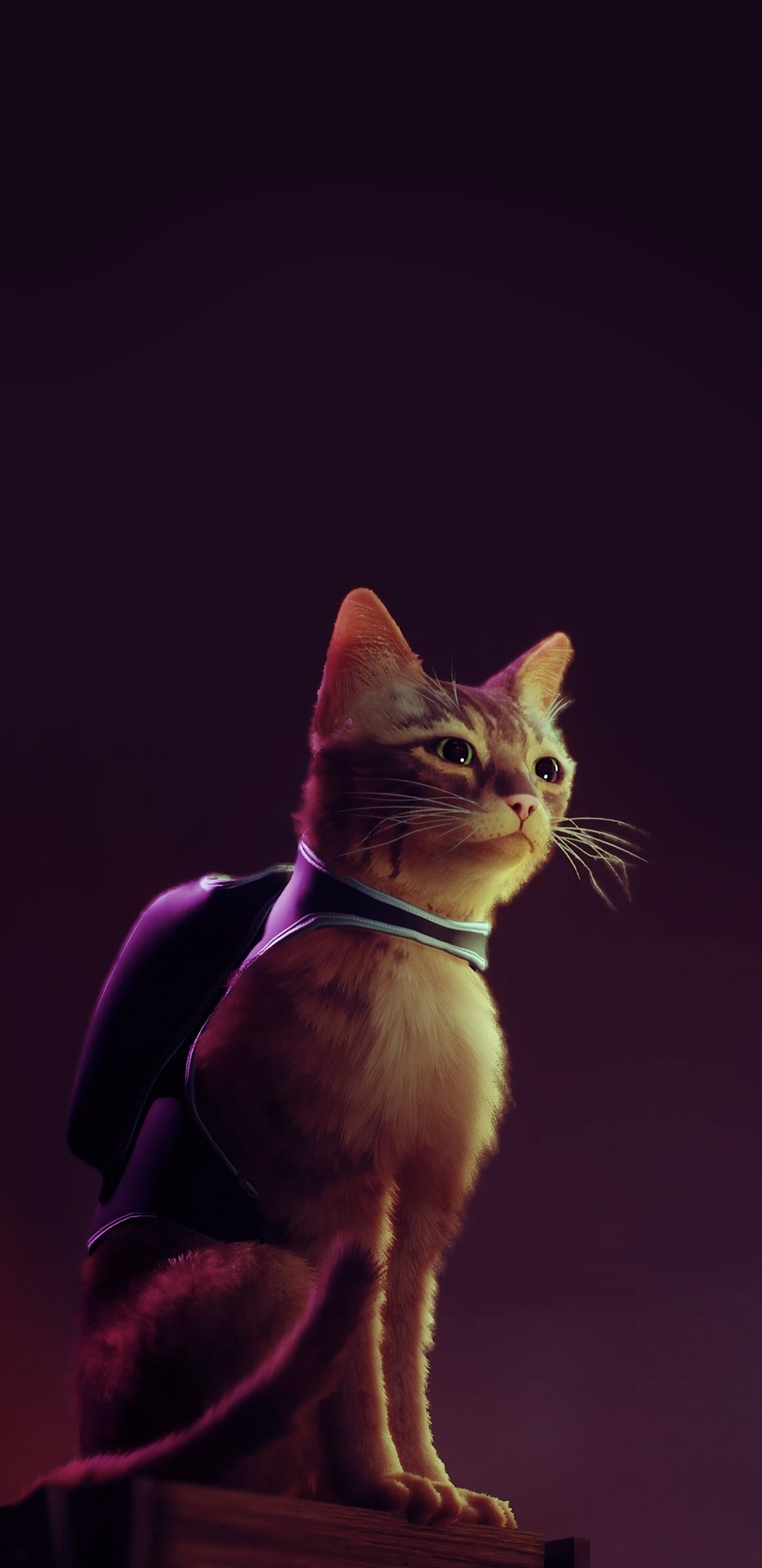 Stray Game Cat Wallpapers