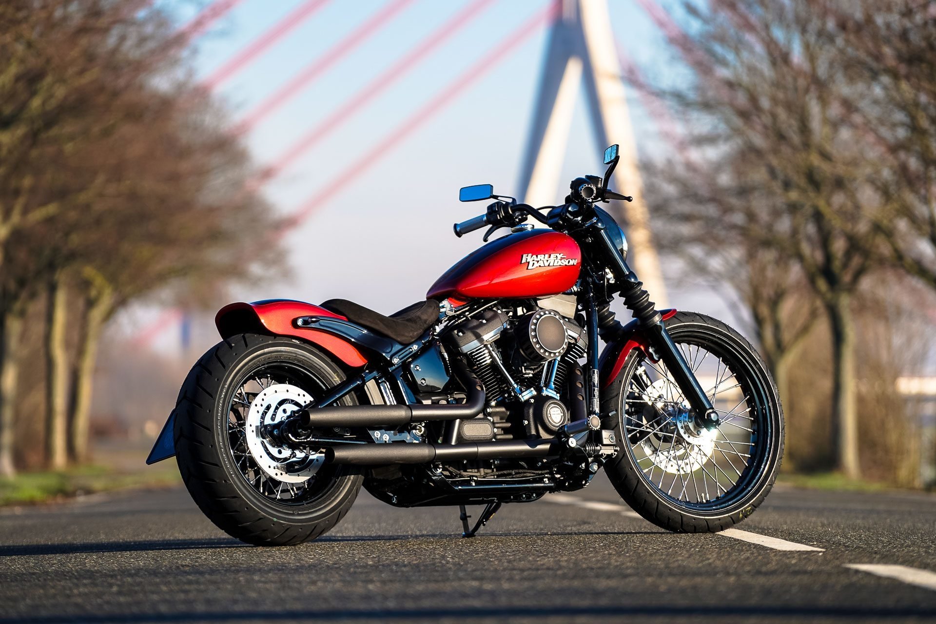 Street Bob Wallpapers