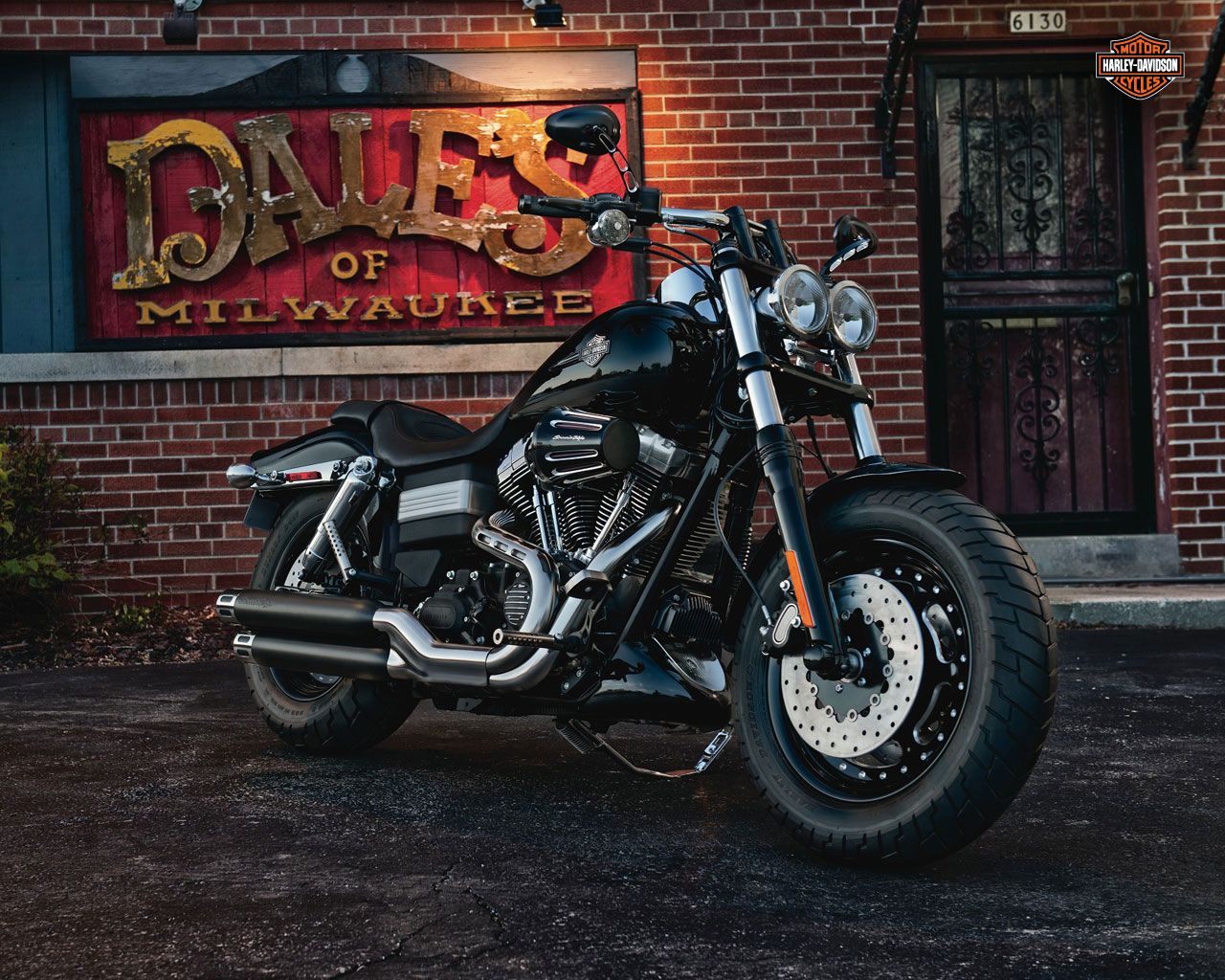 Street Bob Wallpapers