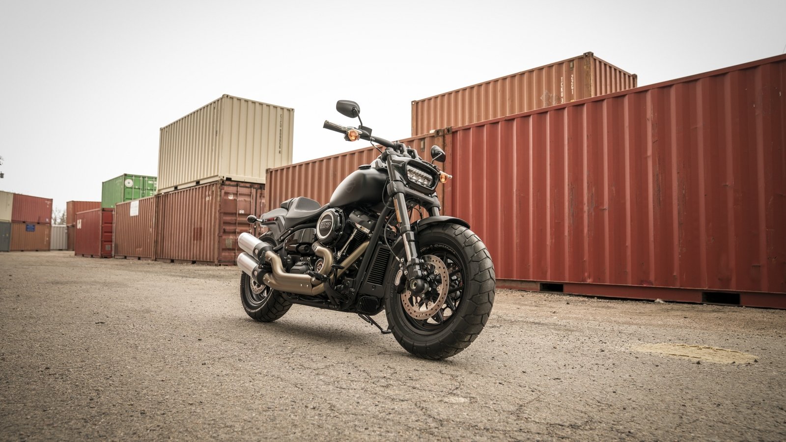 Street Bob Wallpapers