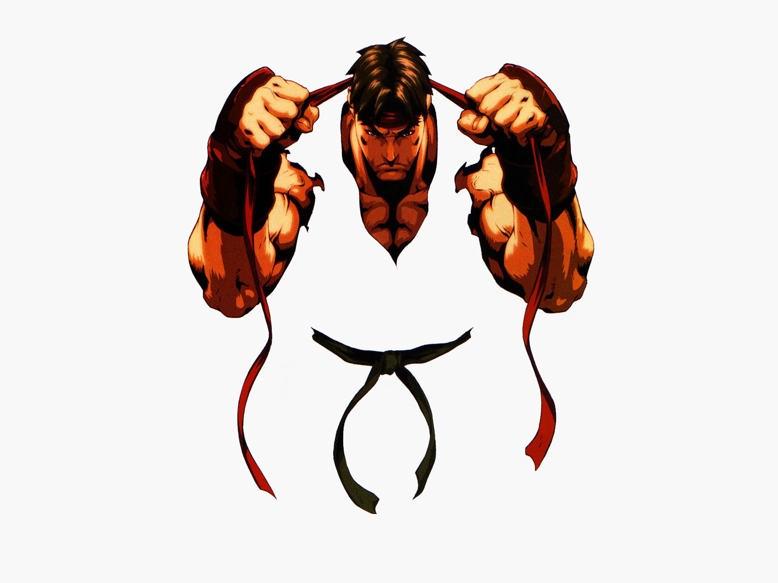 Street Fighter.Icon Wallpapers