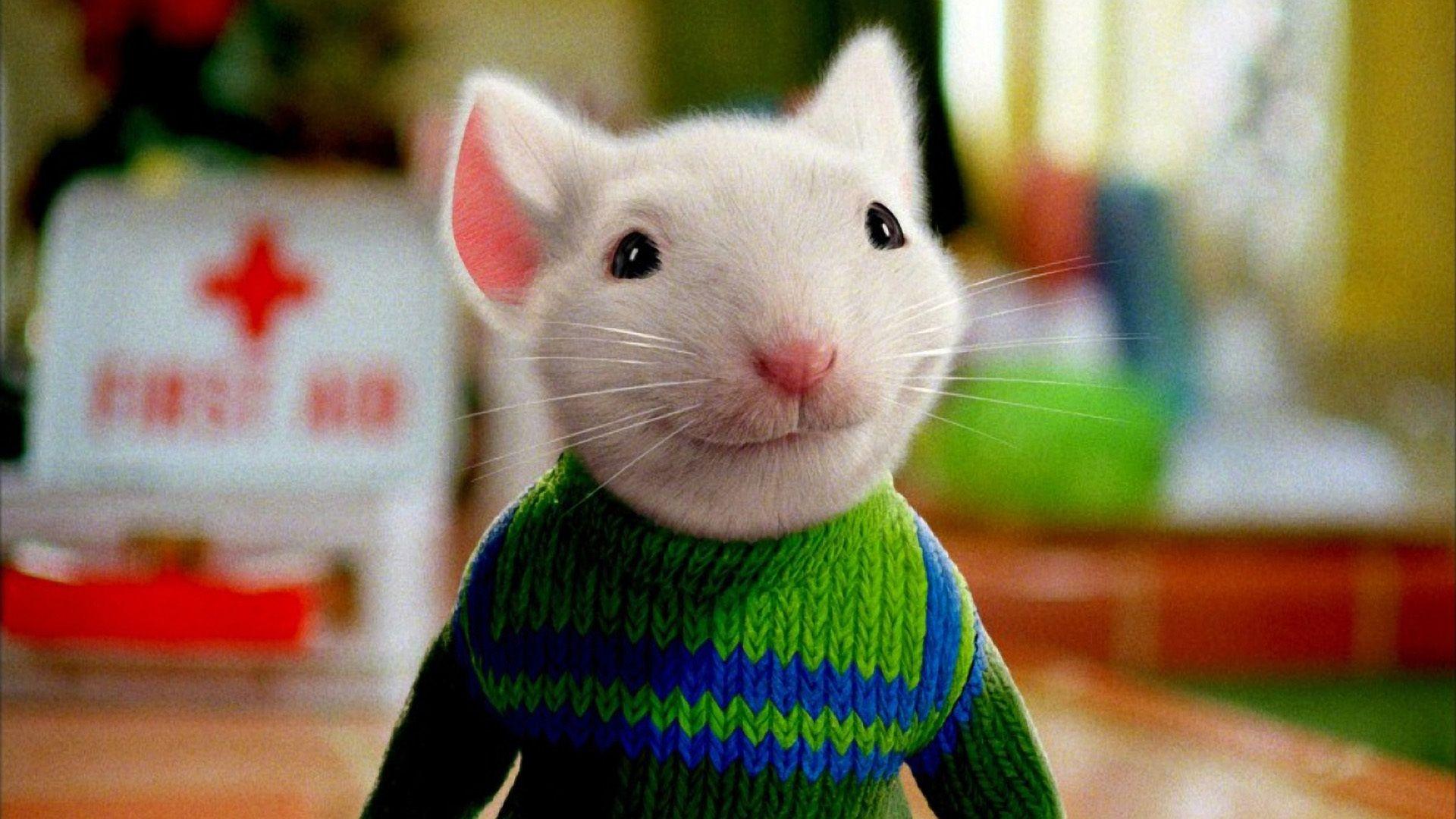 Stuart Little Images Wallpapers