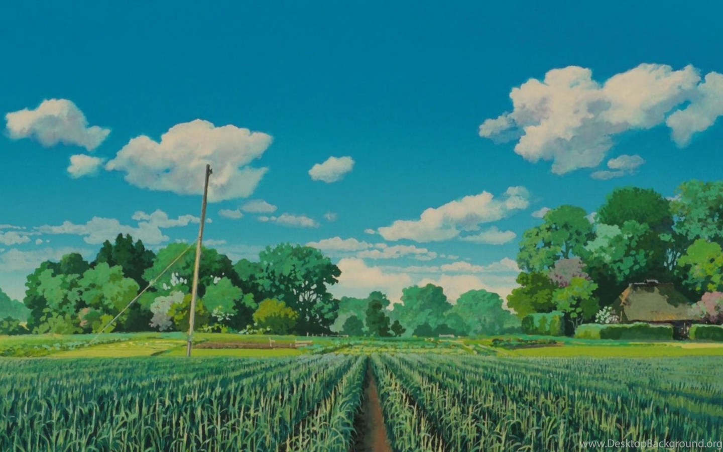 Studio Ghibli 4K Wallpapers