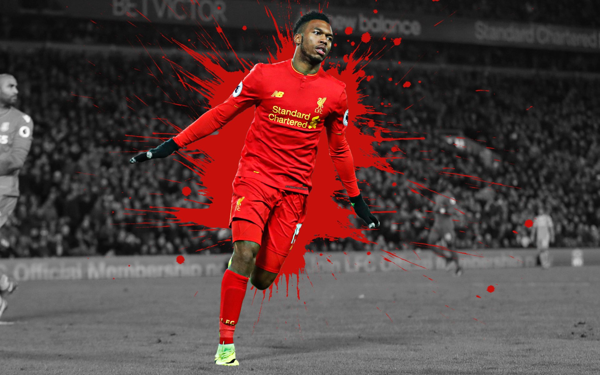 Sturridge Wallpapers