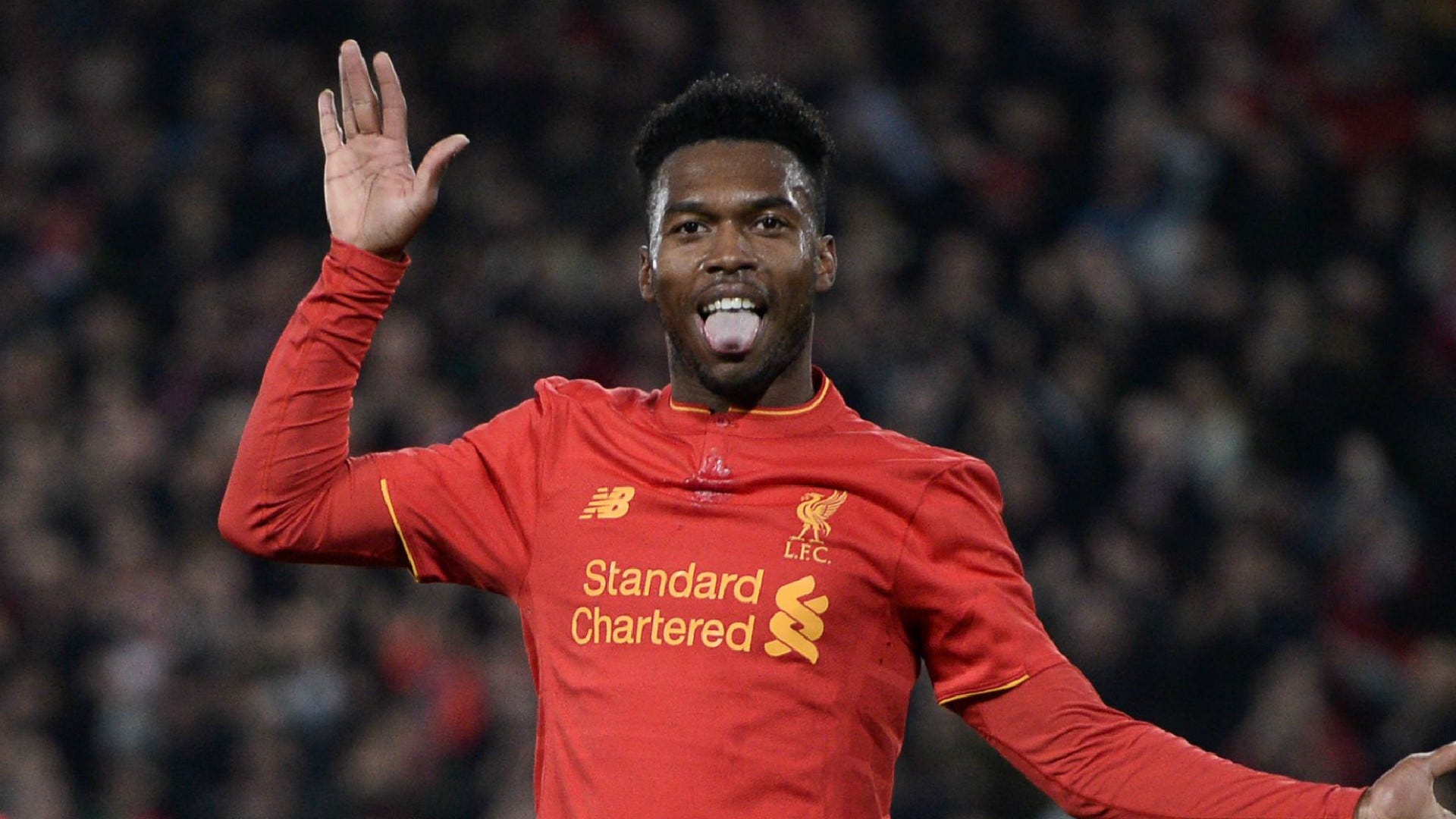 Sturridge Wallpapers