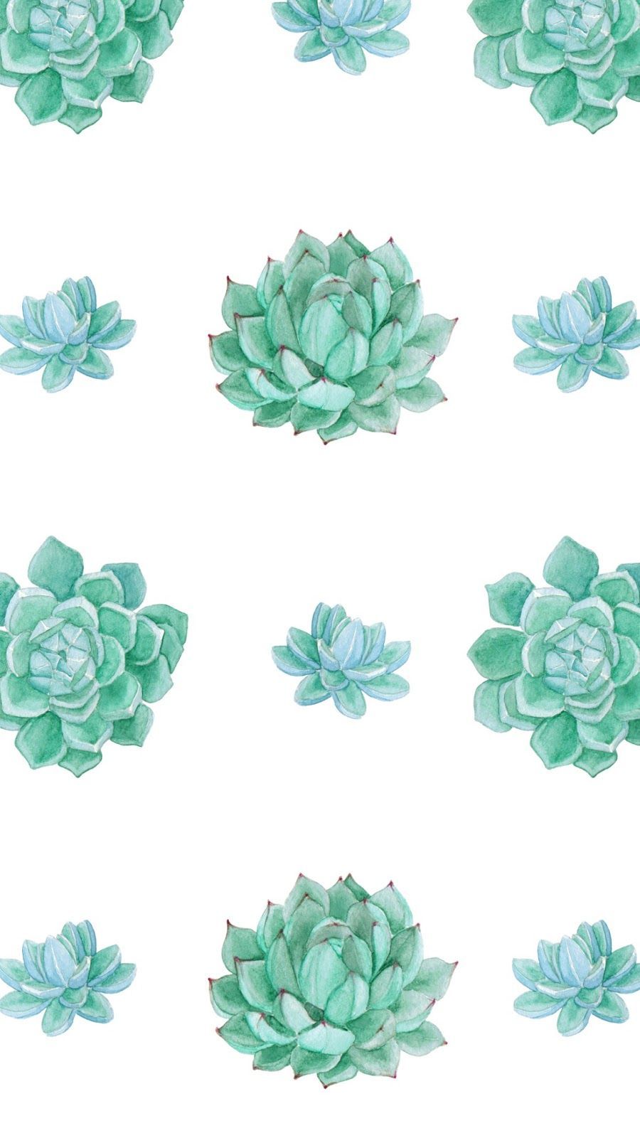 Succulent Phone Wallpapers